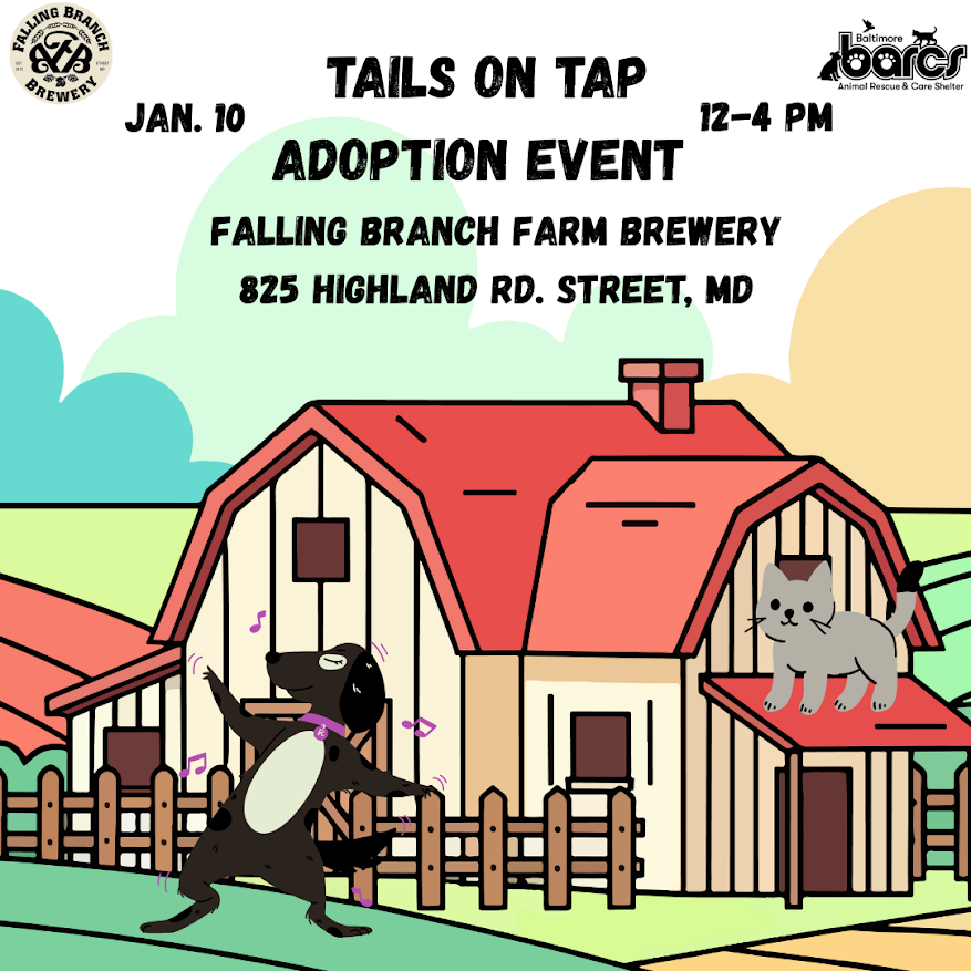Tails on Tap—Adoption Event at Falling Branch Brewery