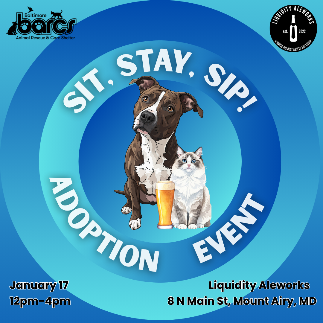 Sit, Stay, Sip! Adoption Event at Liquidity Aleworks