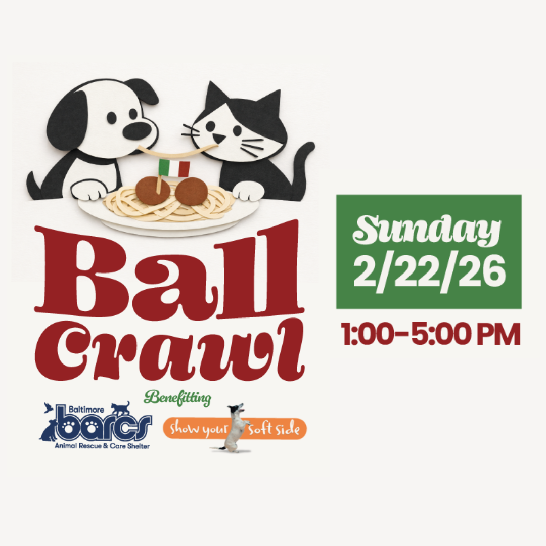 Ball Crawl at Little Italy