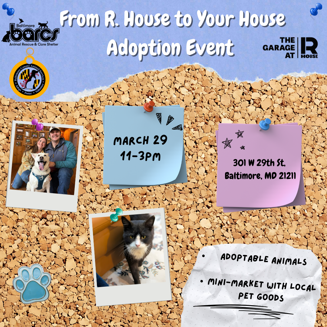 From R. House to Your House Adoption Event at R.House