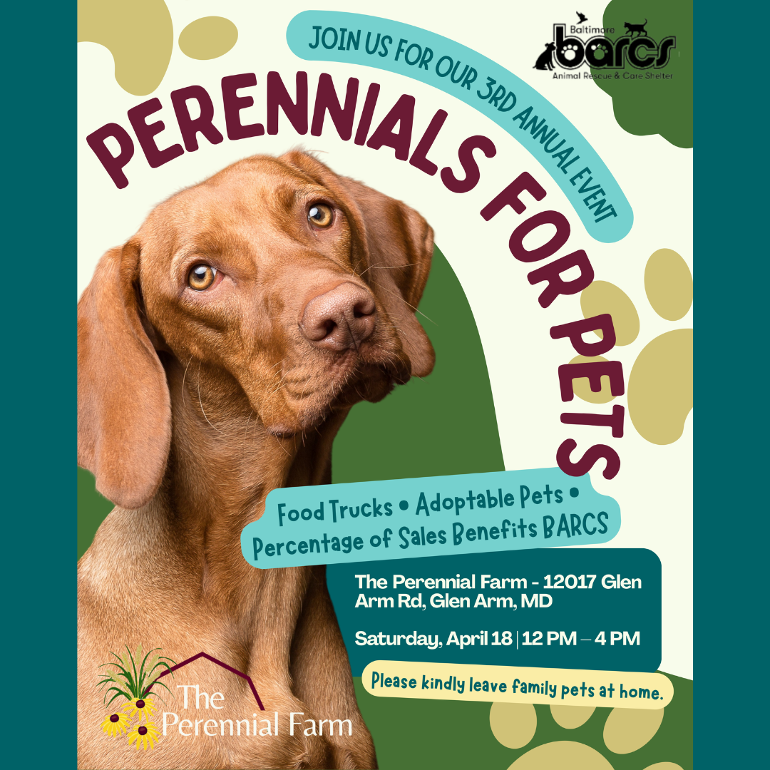 Perennials for Pets Adoption Event at The Perennial Farm
