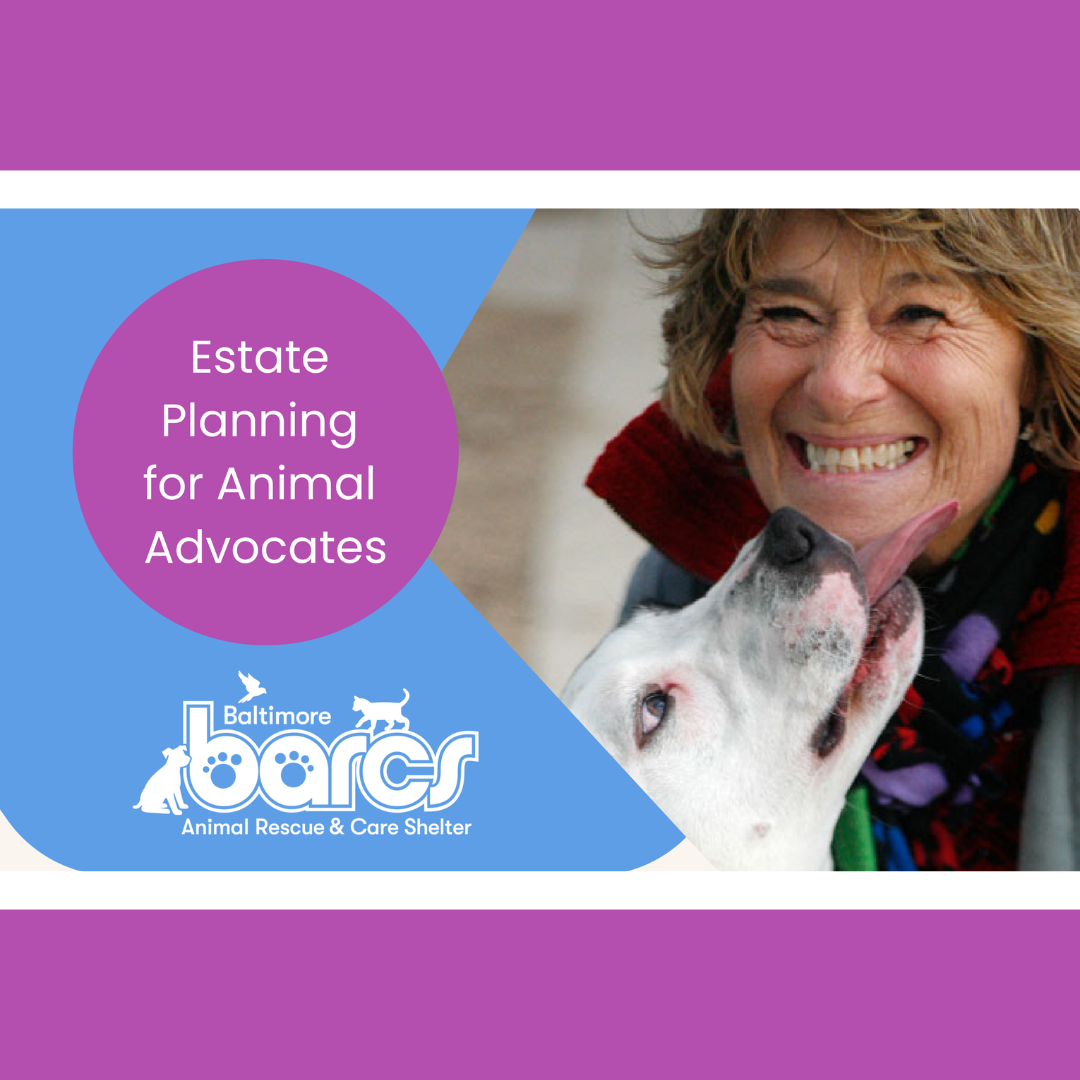 Estate Planning for Animal Advocates Baltimore