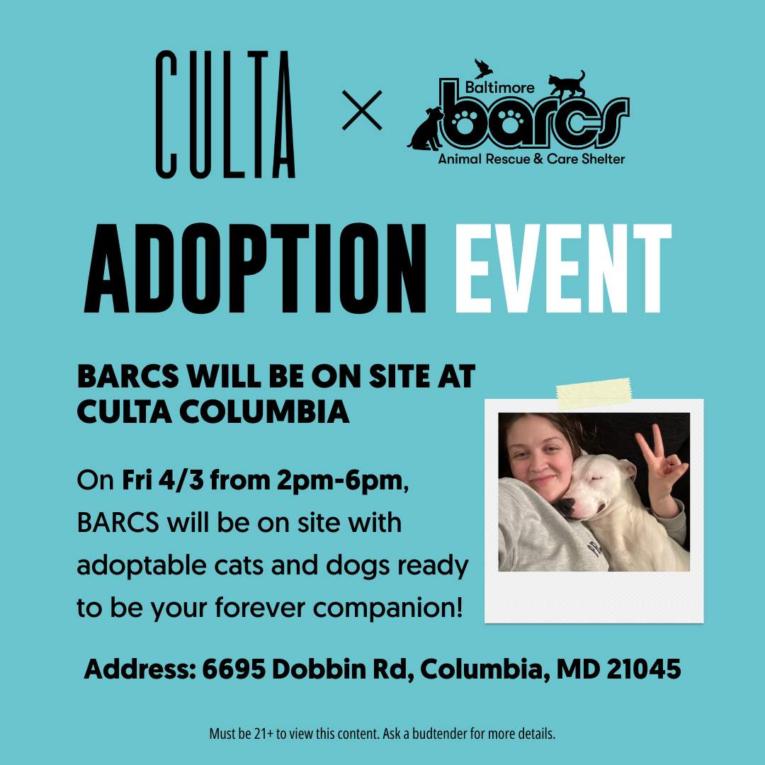 CULTA x BARCS Adoption Event