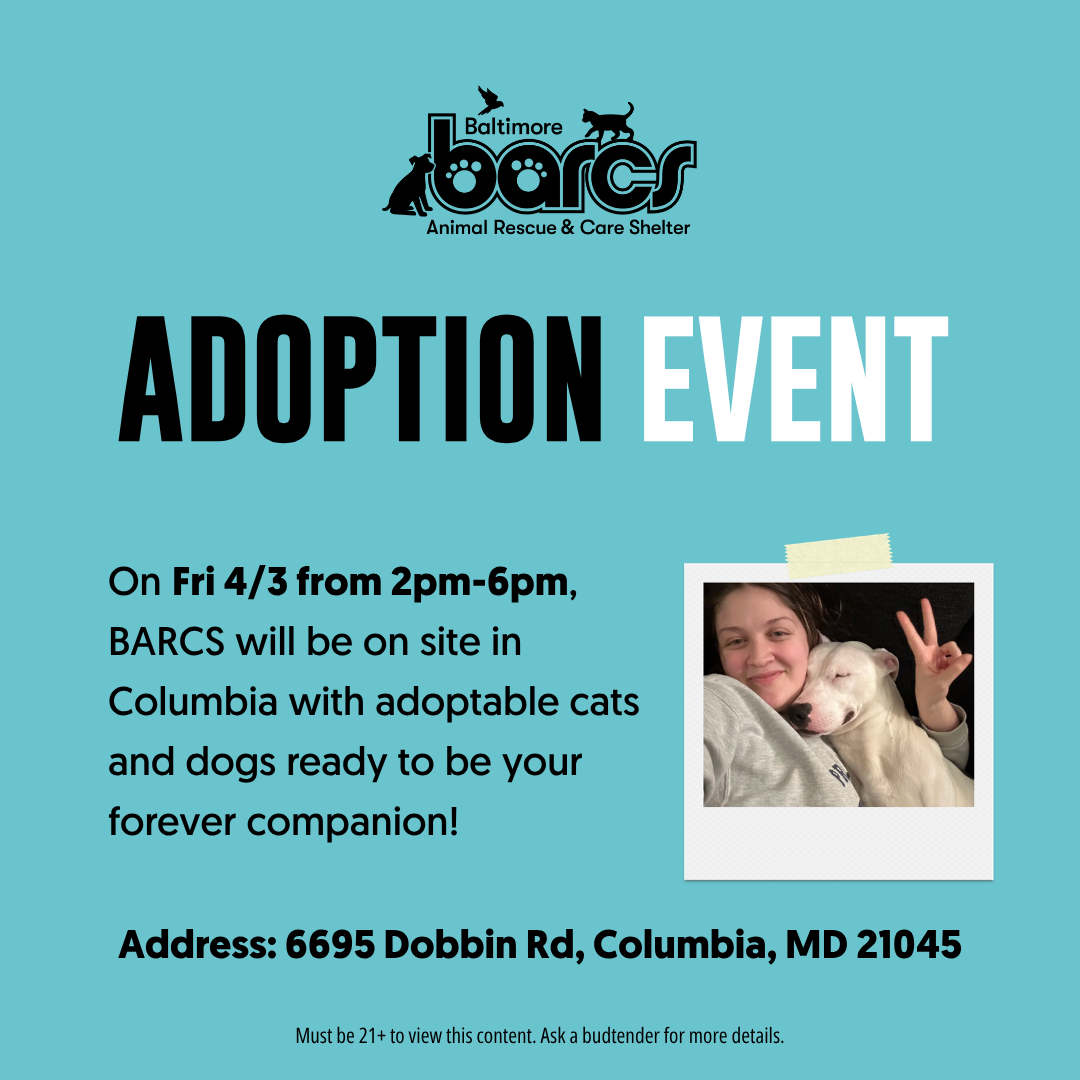 CULTA x BARCS Adoption Event