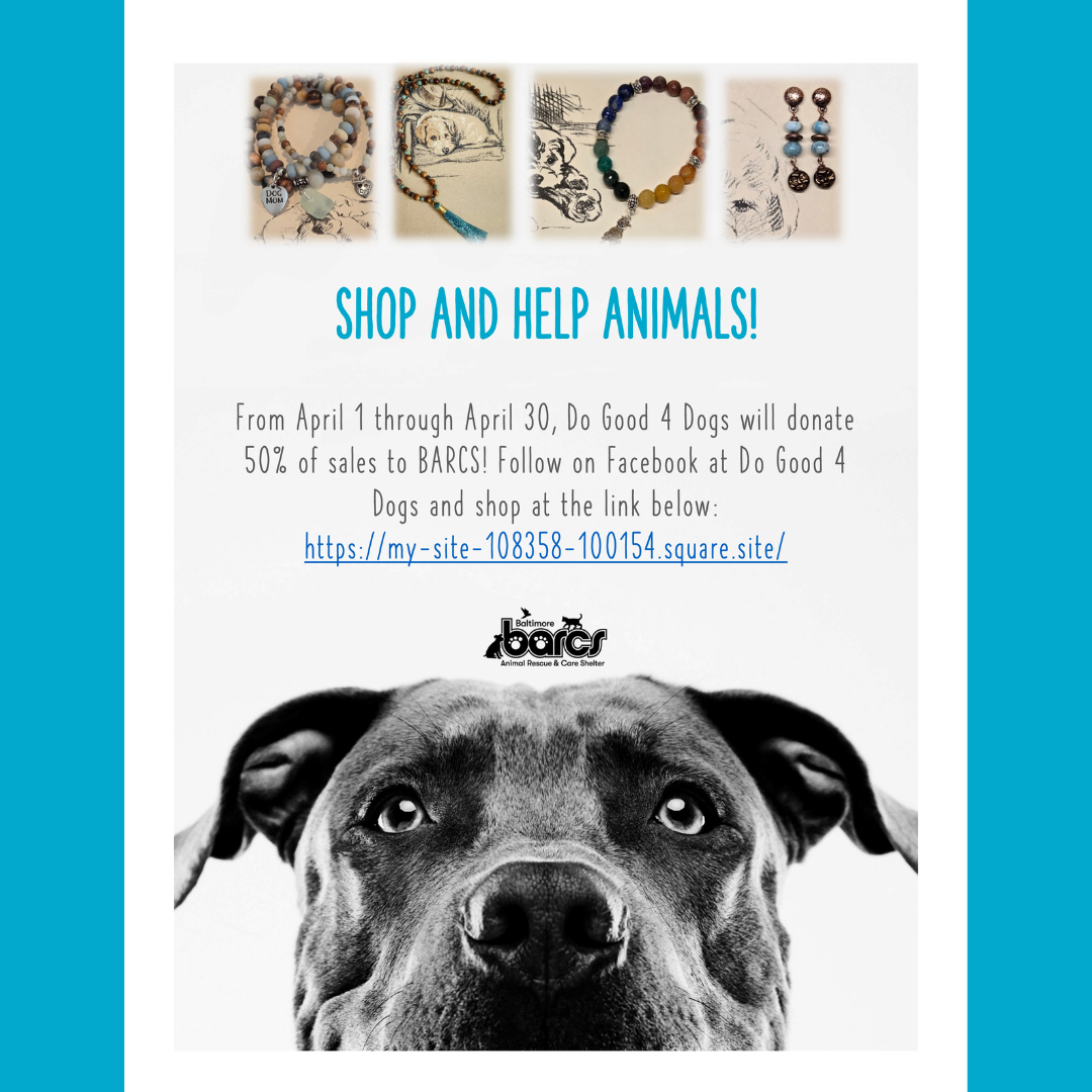 Giveback with Do Good 4 Dogs!