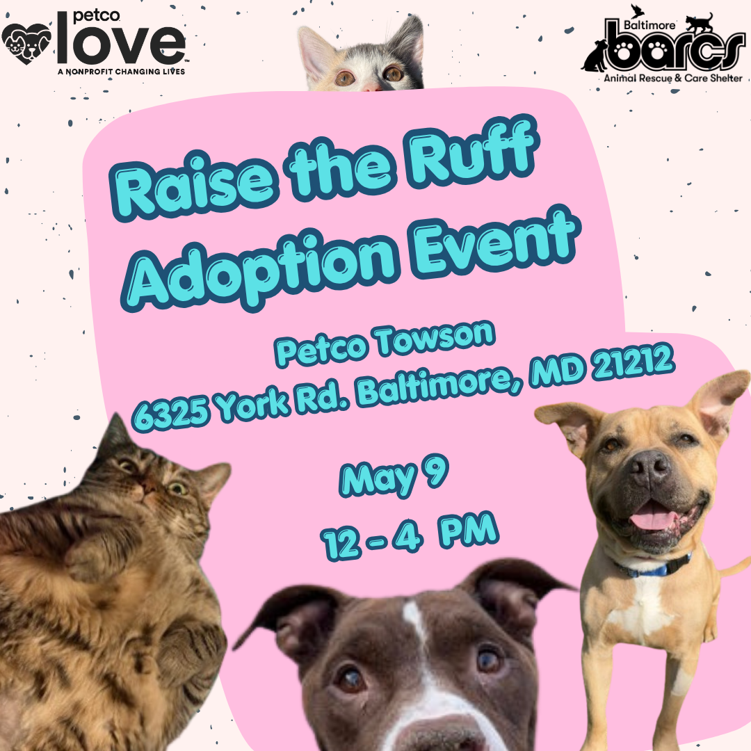 Raise the Ruff Adoption Event at Petco Towson
