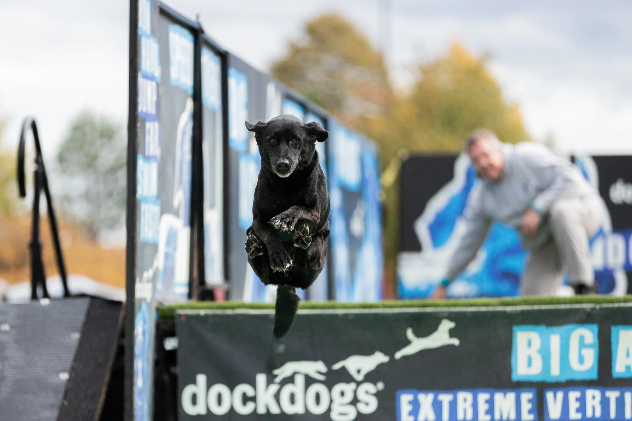 DockDogs® at Hops on the Dock with Best Friends Fur Ever Adoption Event
