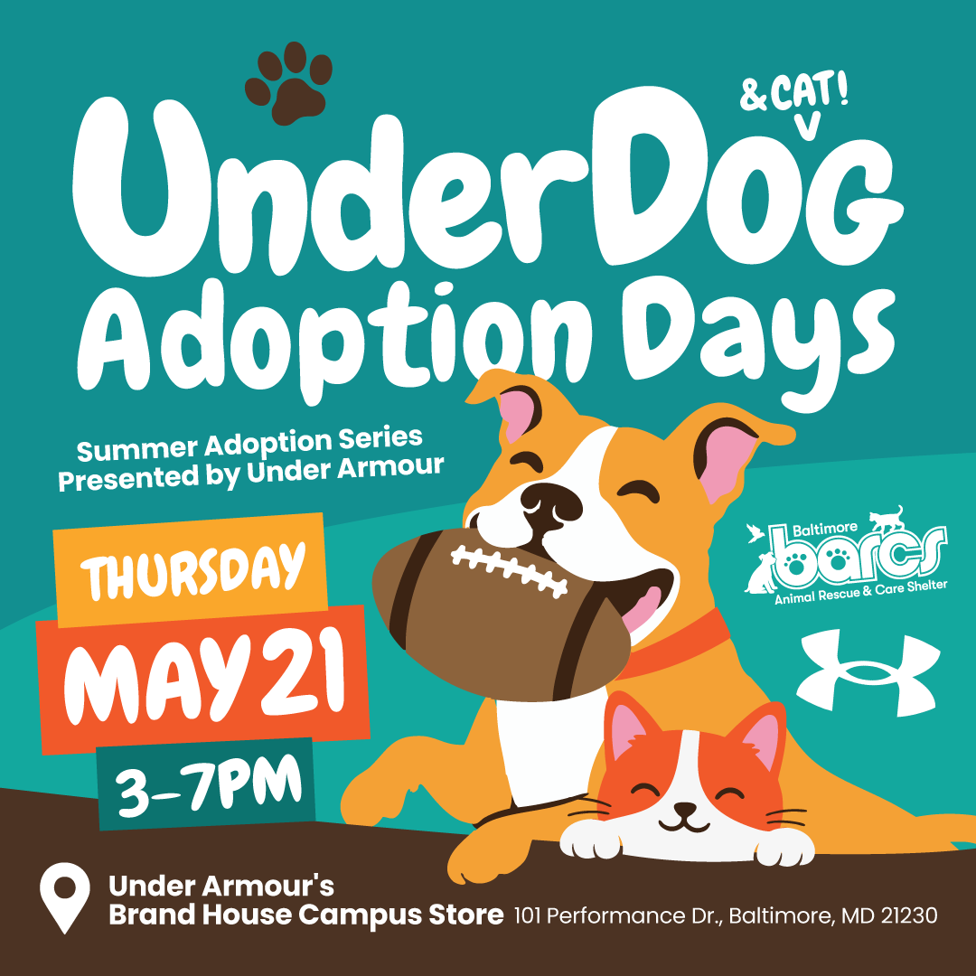 UnderDog Adoption Days at Under Armour Brand House