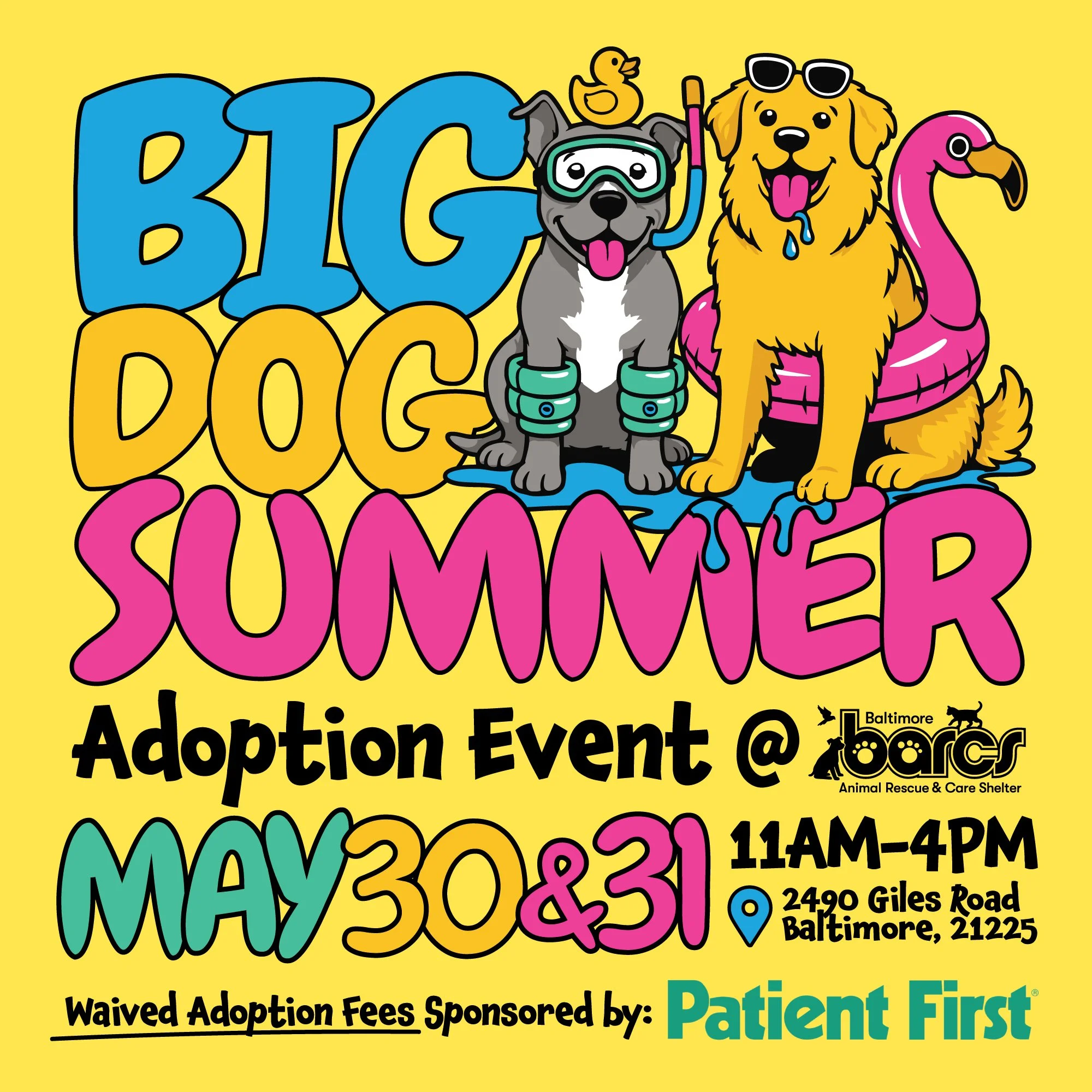 Big Dog Summer @ BARCS