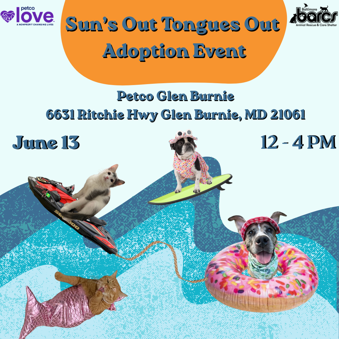 Sun’s Out Tongues Out Adoption Event at Petco Glen Burnie