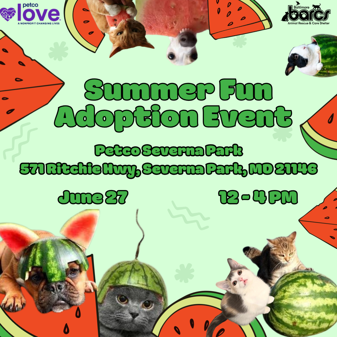 Summer Fun Adoption Event at Petco Severna Park