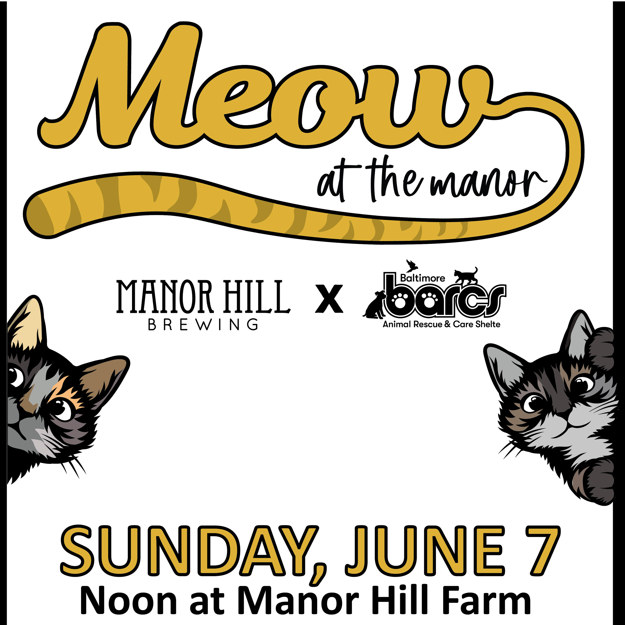 Meow at the Manor, Adoption Event and Beer Release at Manor Hill Brewing