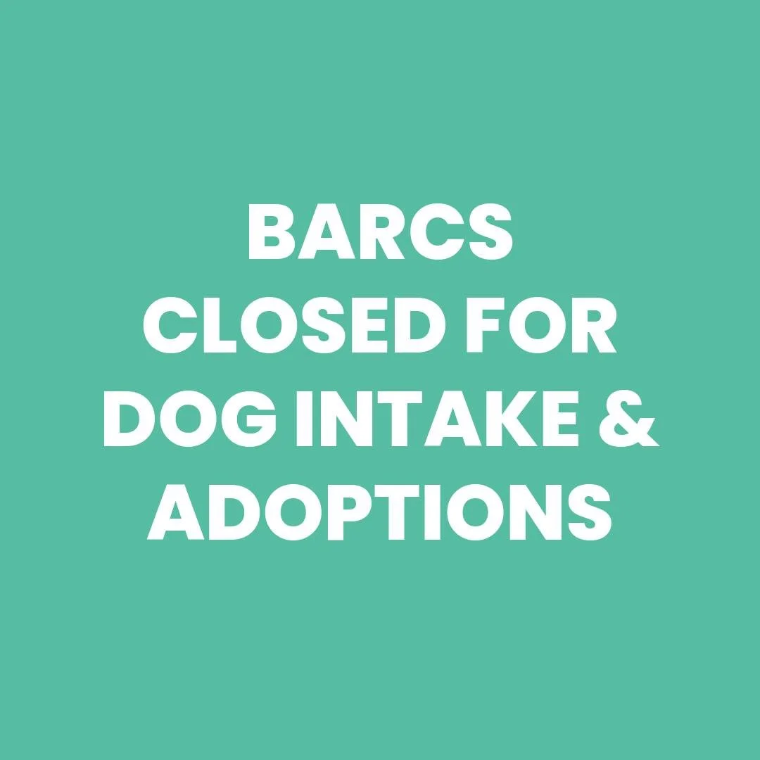 PARVOVIRUS CLOSURE–JUNE 2026