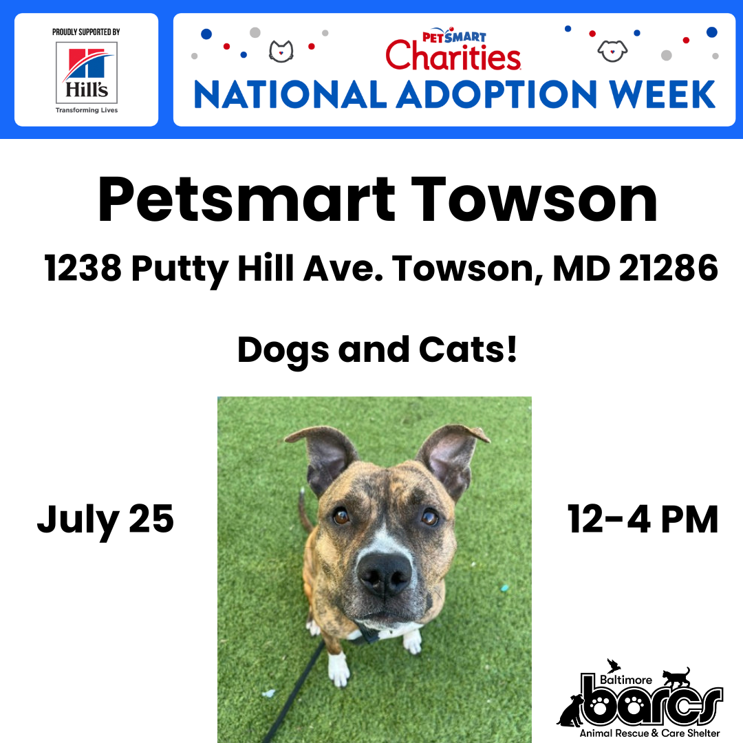 PetSmart Pop-Up Adoption Event at PetSmart Towson