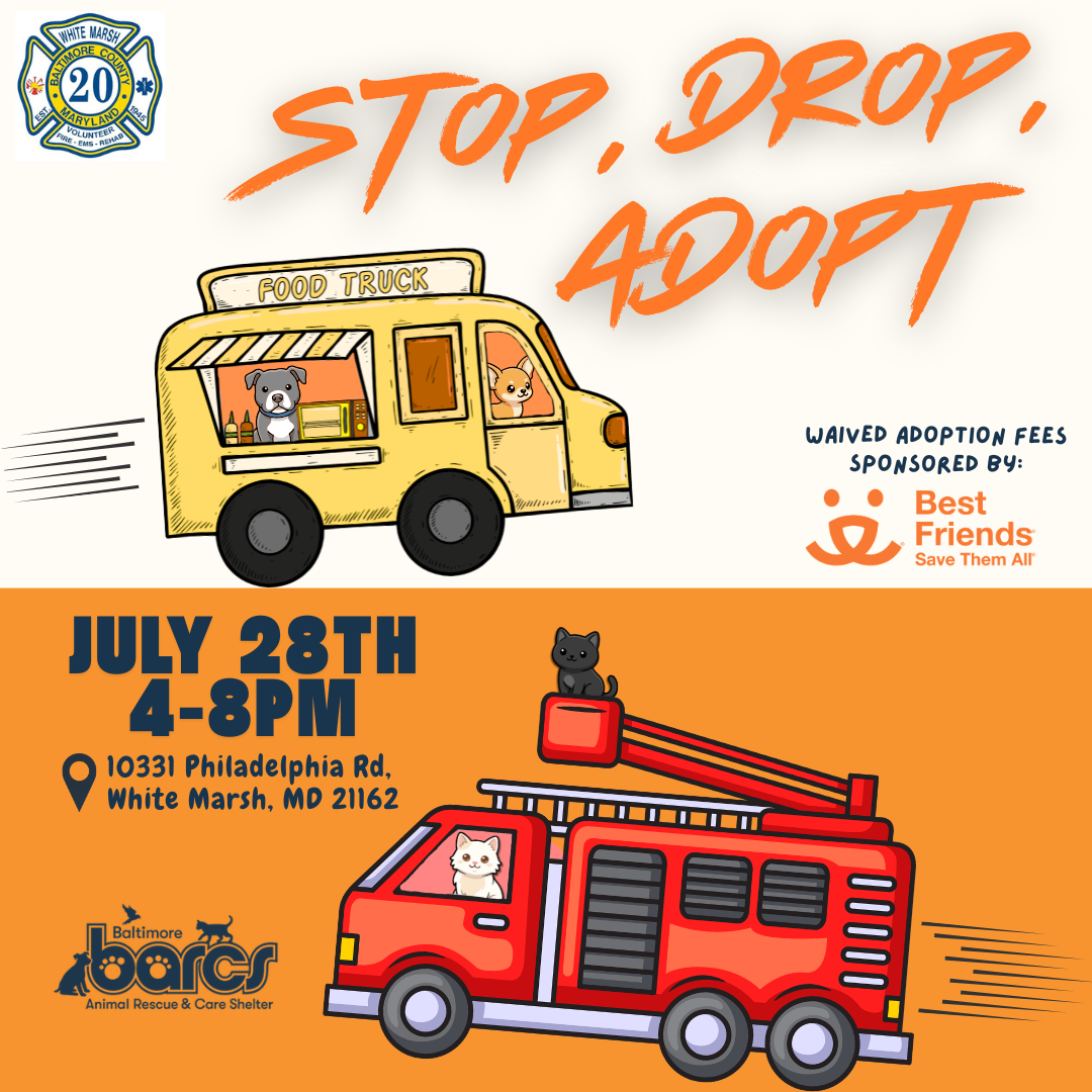 Stop, Drop, Adopt Adoption Event at Whitemarsh Firehouse