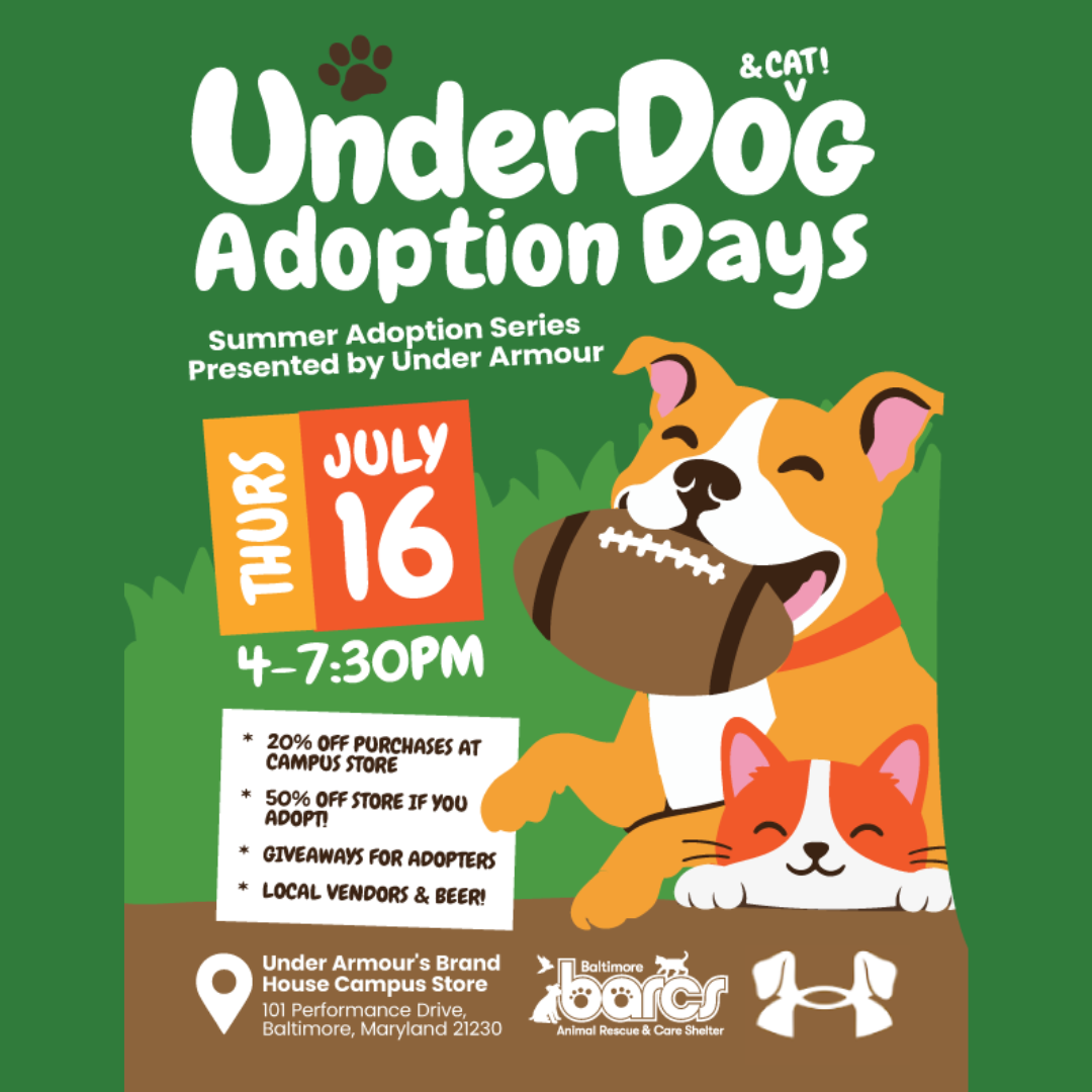 UnderDog Adoption Days at Under Armour Brand House