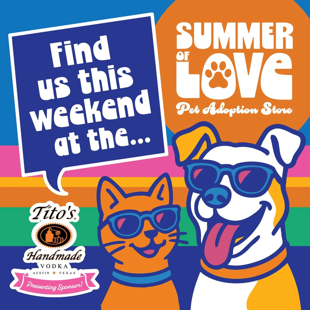 Summer of Love Pet Adoption Store at THE AVENUE at White Marsh
