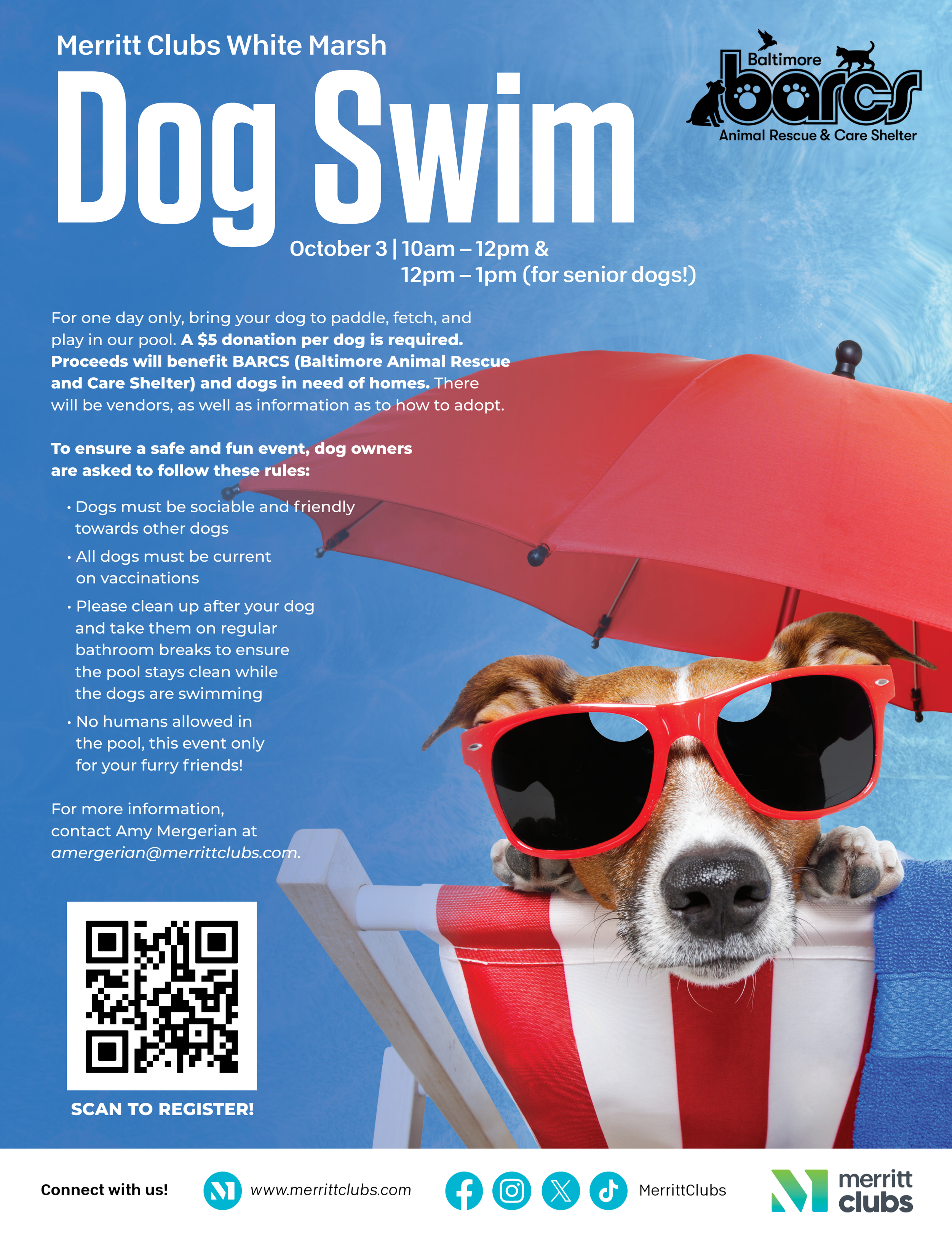 Dog Swim at Merritt Clubs White Marsh