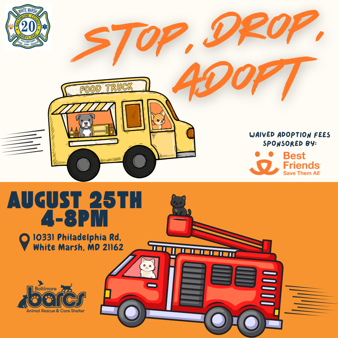 Stop, Drop, Adopt Adoption Event at Whitemarsh Firehouse
