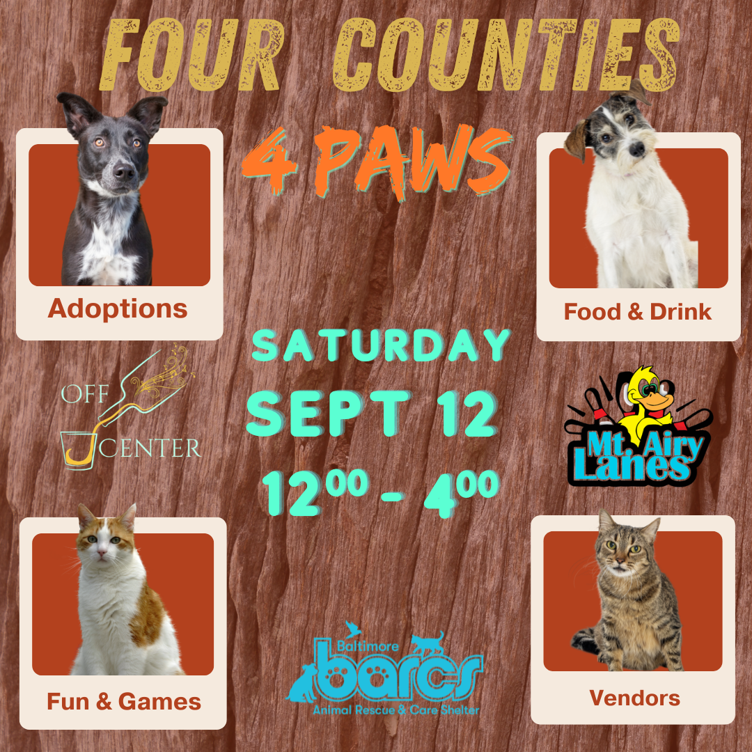 Four Counties 4 Paws
