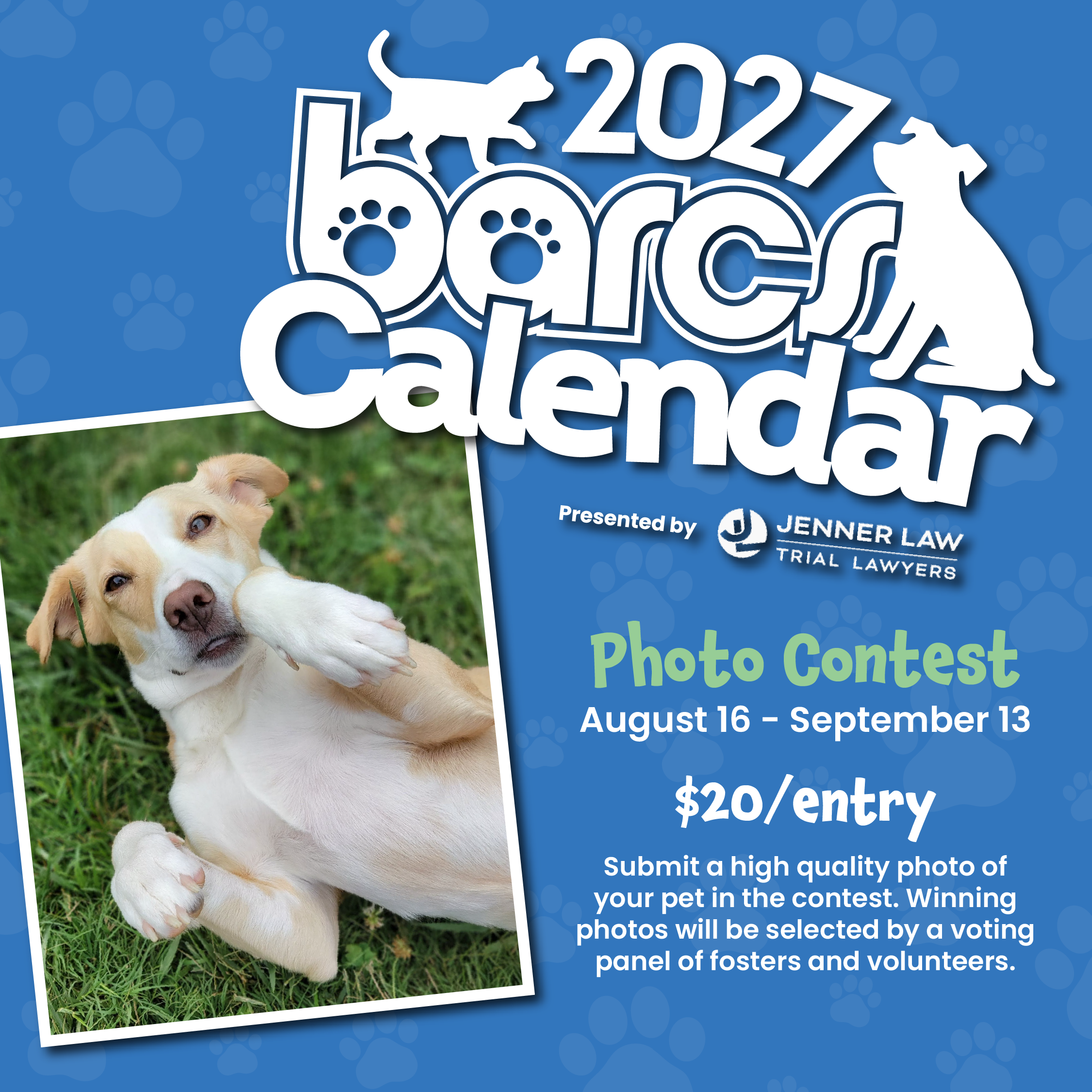 BARCS Pet Calendar Contest