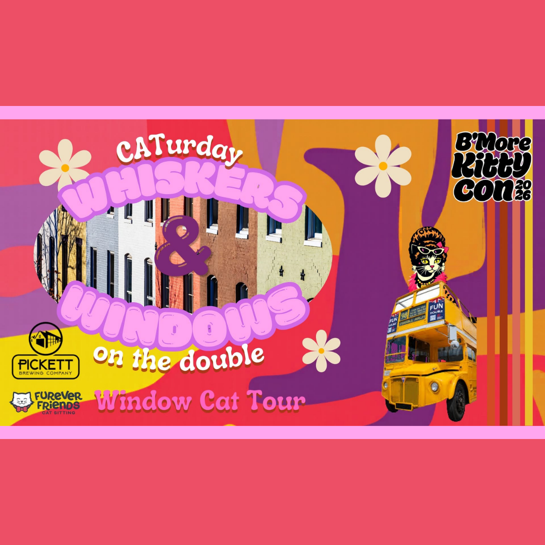 CATurday Whiskers & Windows Cat Tour