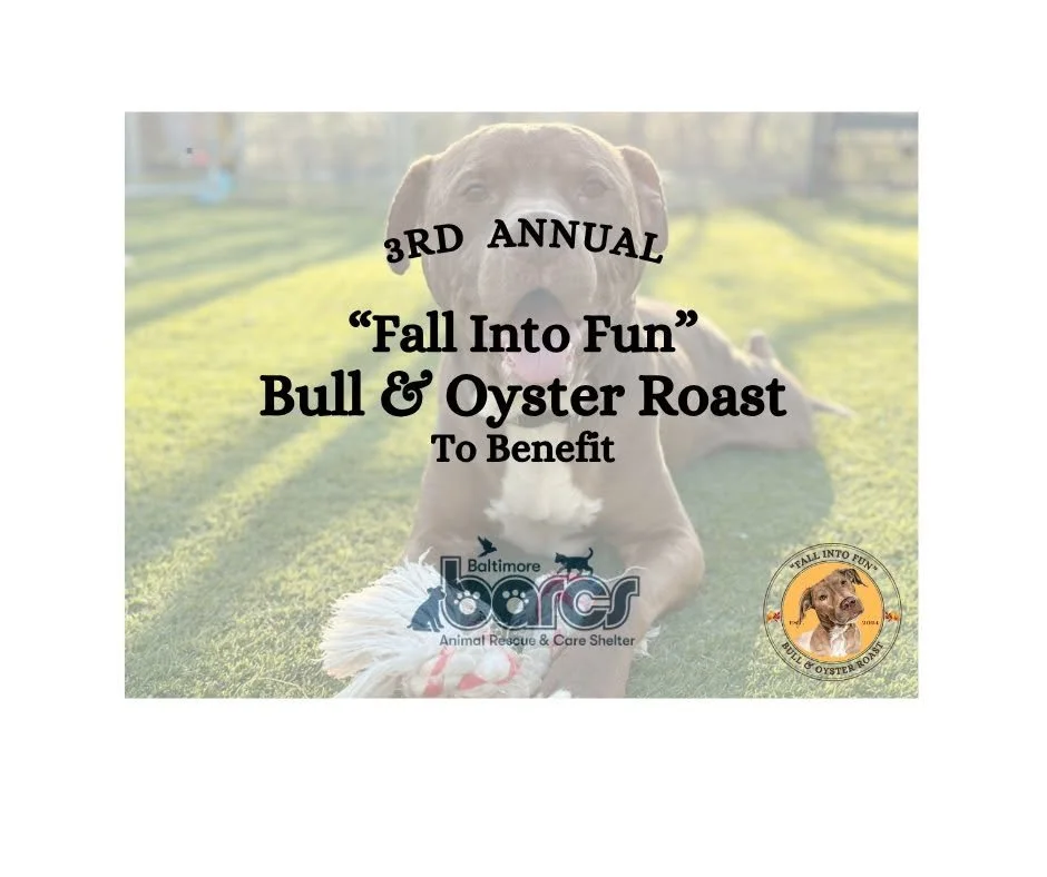 3rd Annual "Fall Into Fun" Bull & Oyster Roast to benefit BARCS