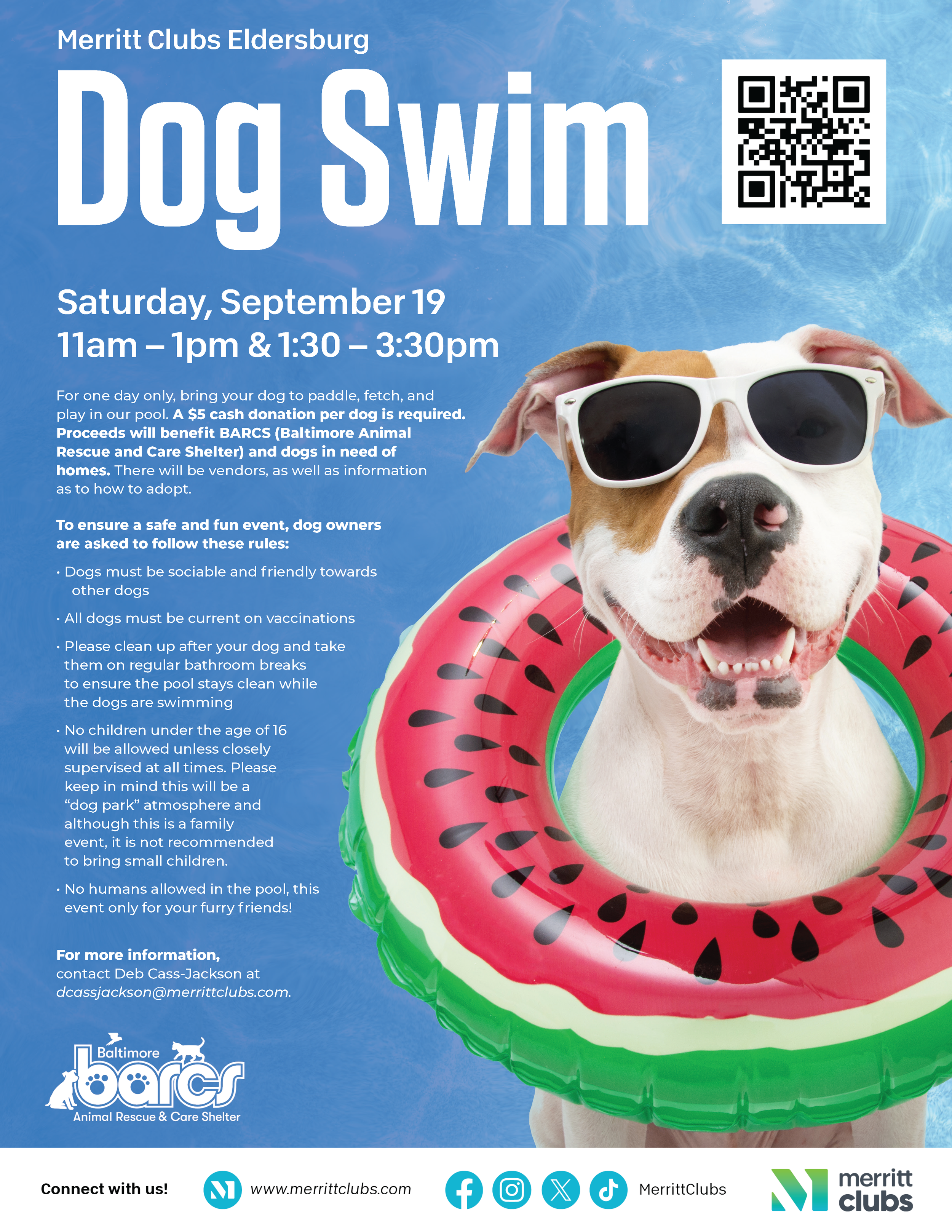Dog Swim at Merritt Clubs Eldersburg