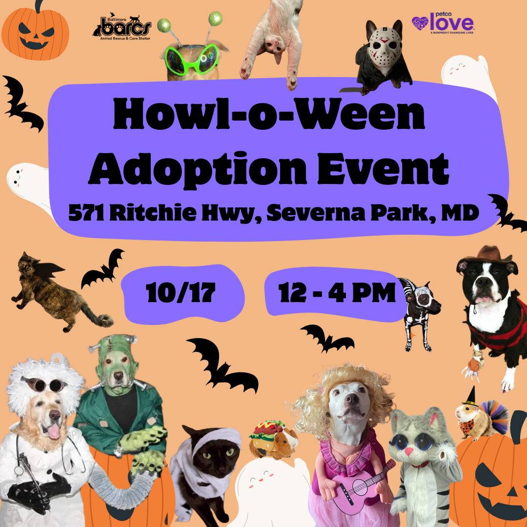 Howl-o-Ween Adoption Event at Petco Severna Park