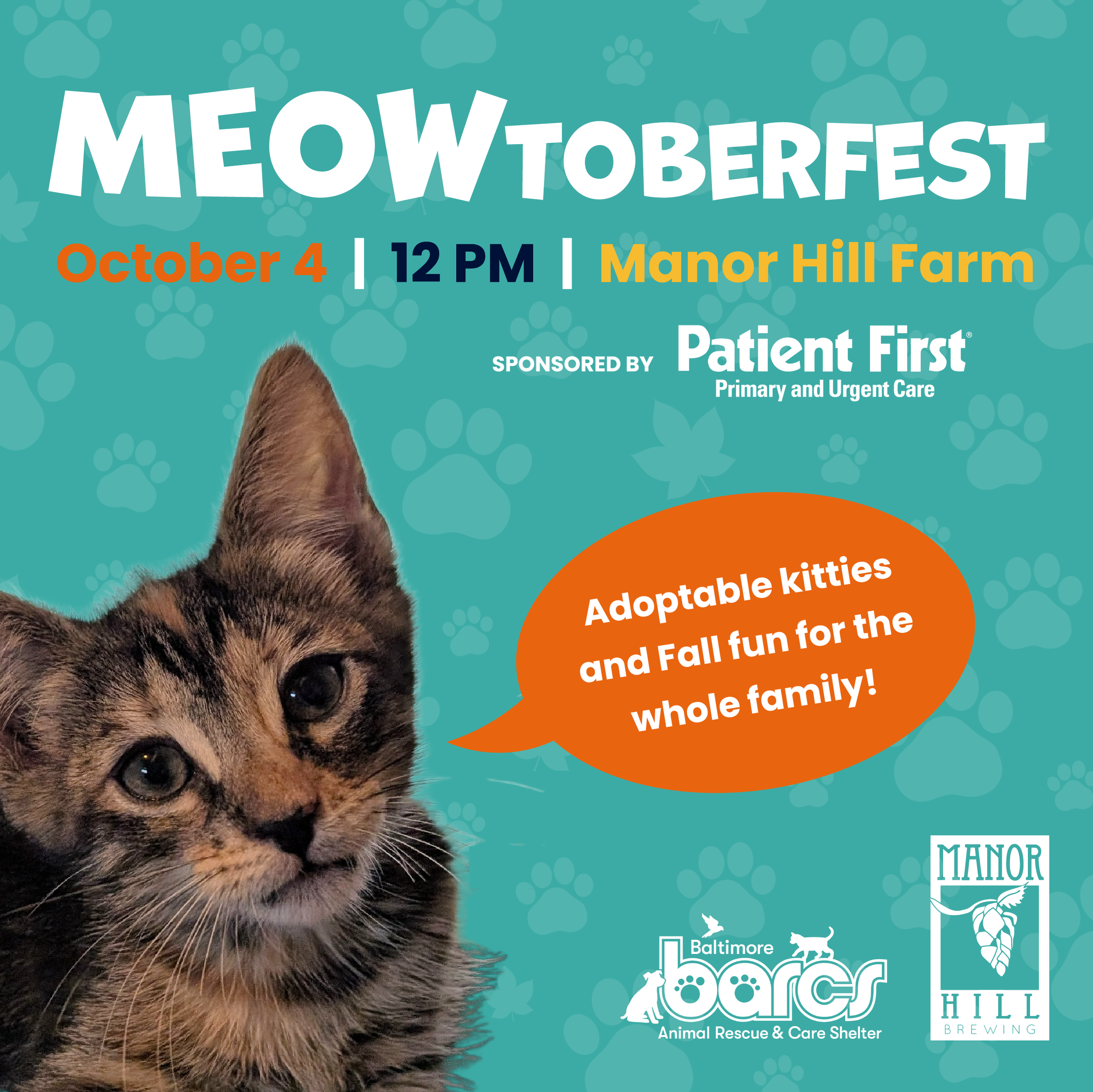 Meowtoberfest at Manor Hill Farm