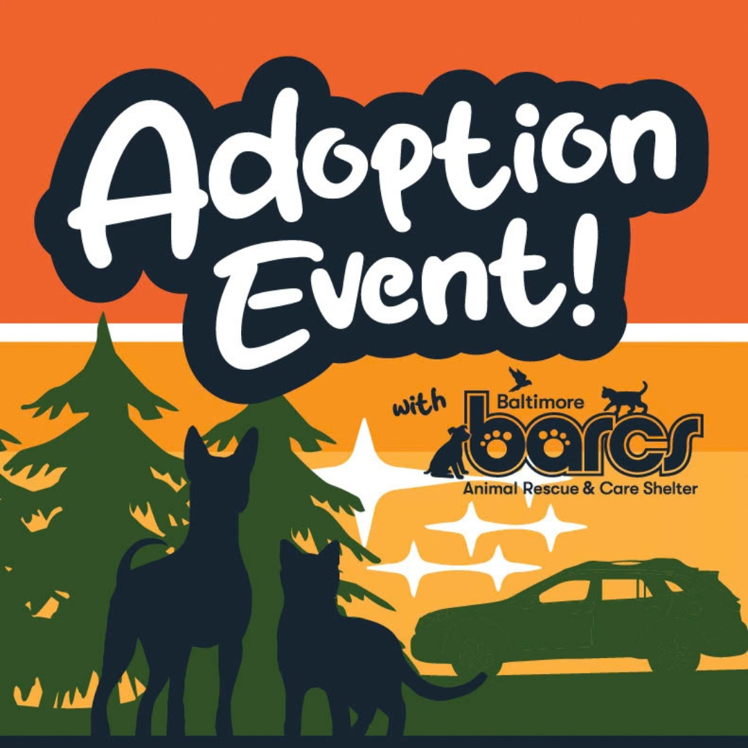 Subaru Loves Pets: BARCS Adoption Event