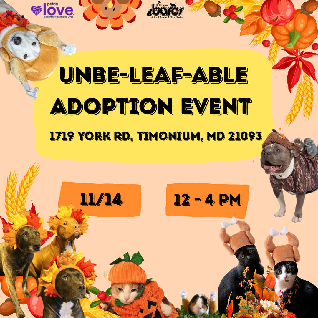 Unbe-leaf-able Adoption Event at Petco Timonium