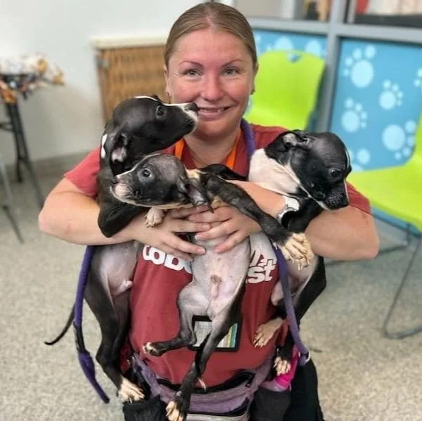 Baltimore Animal Rescue and Care Shelter (BARCS)