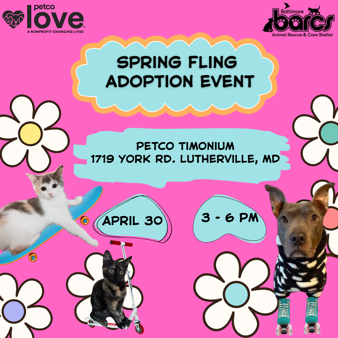 Spring Fling Adoption Event at Petco Timonium — Baltimore Animal Rescue ...