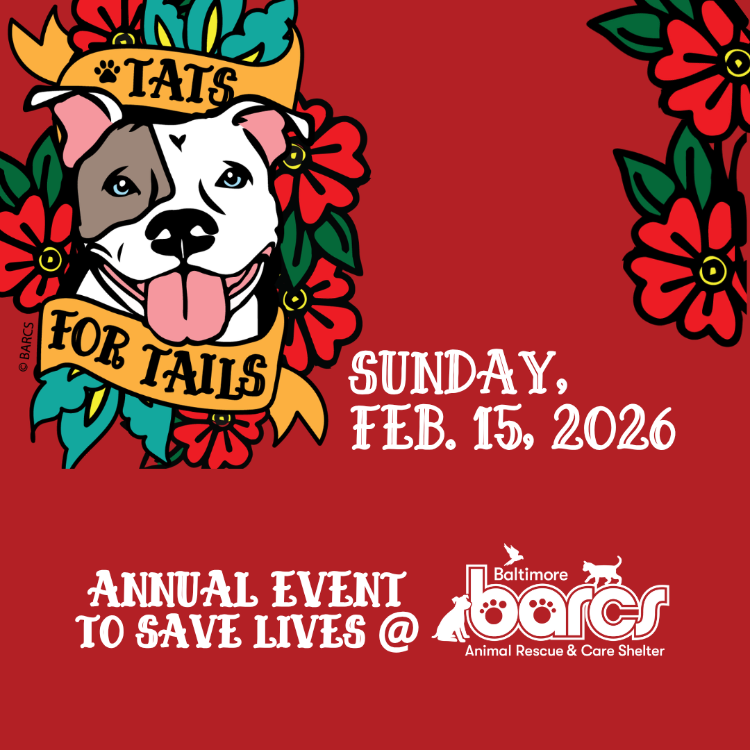Tats for Tails at Baltimore Tattoo Museum — Baltimore Animal Rescue and ...