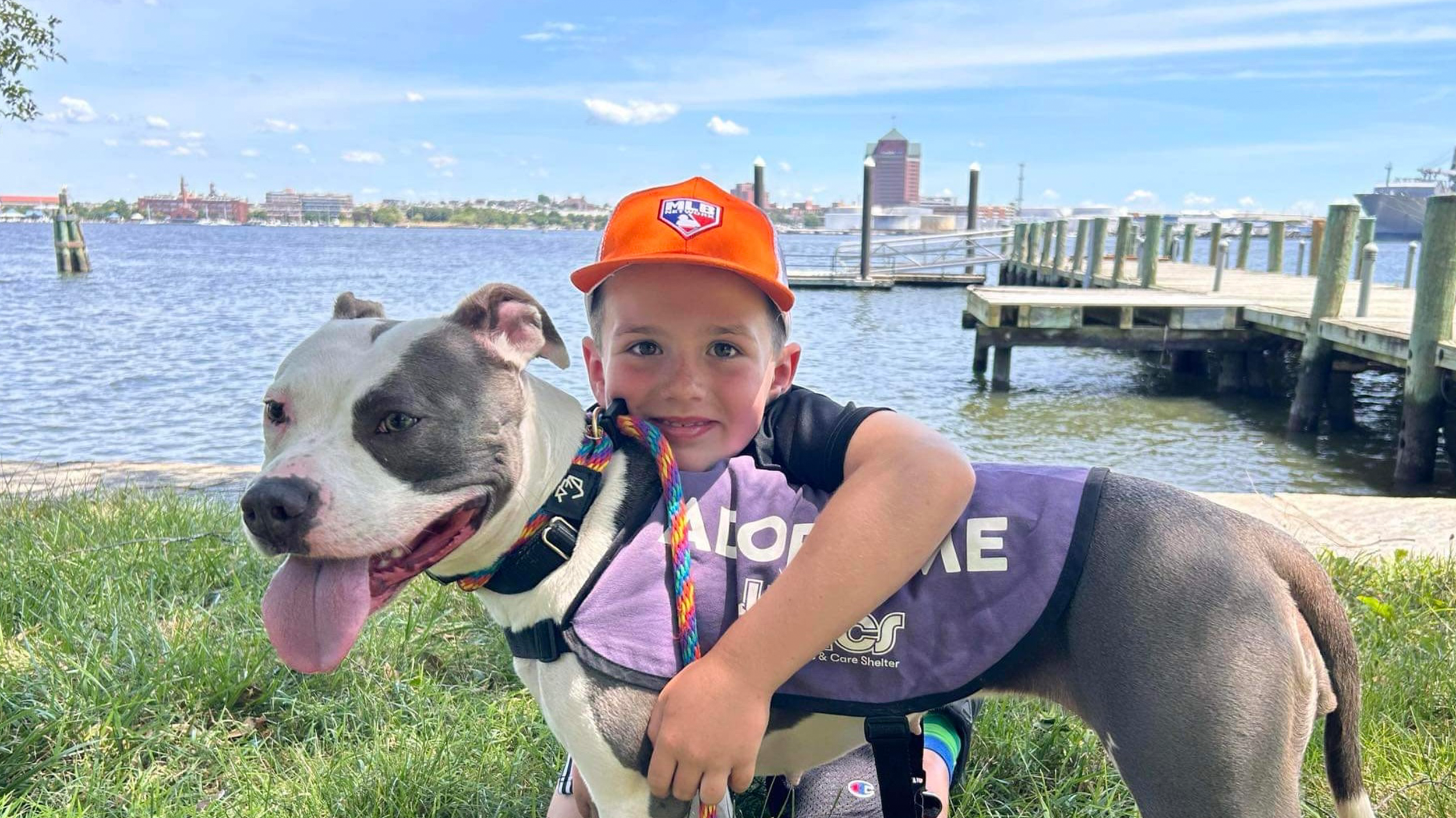 The platform for news — Newspack, image size:2500x1406