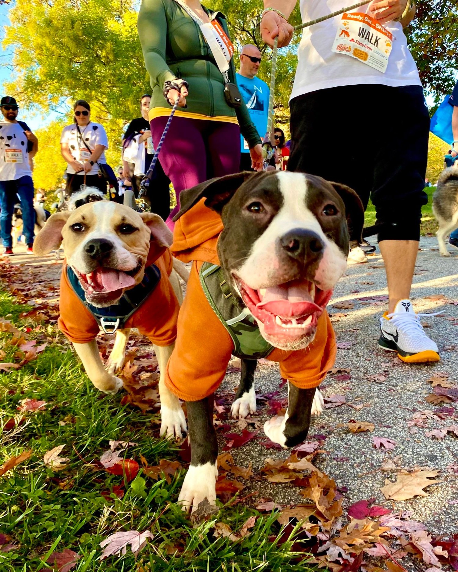 21st Annual BARCStoberfest