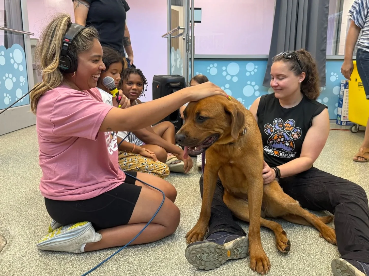 All Paws Home — Baltimore Animal Rescue and Care Shelter (BARCS)