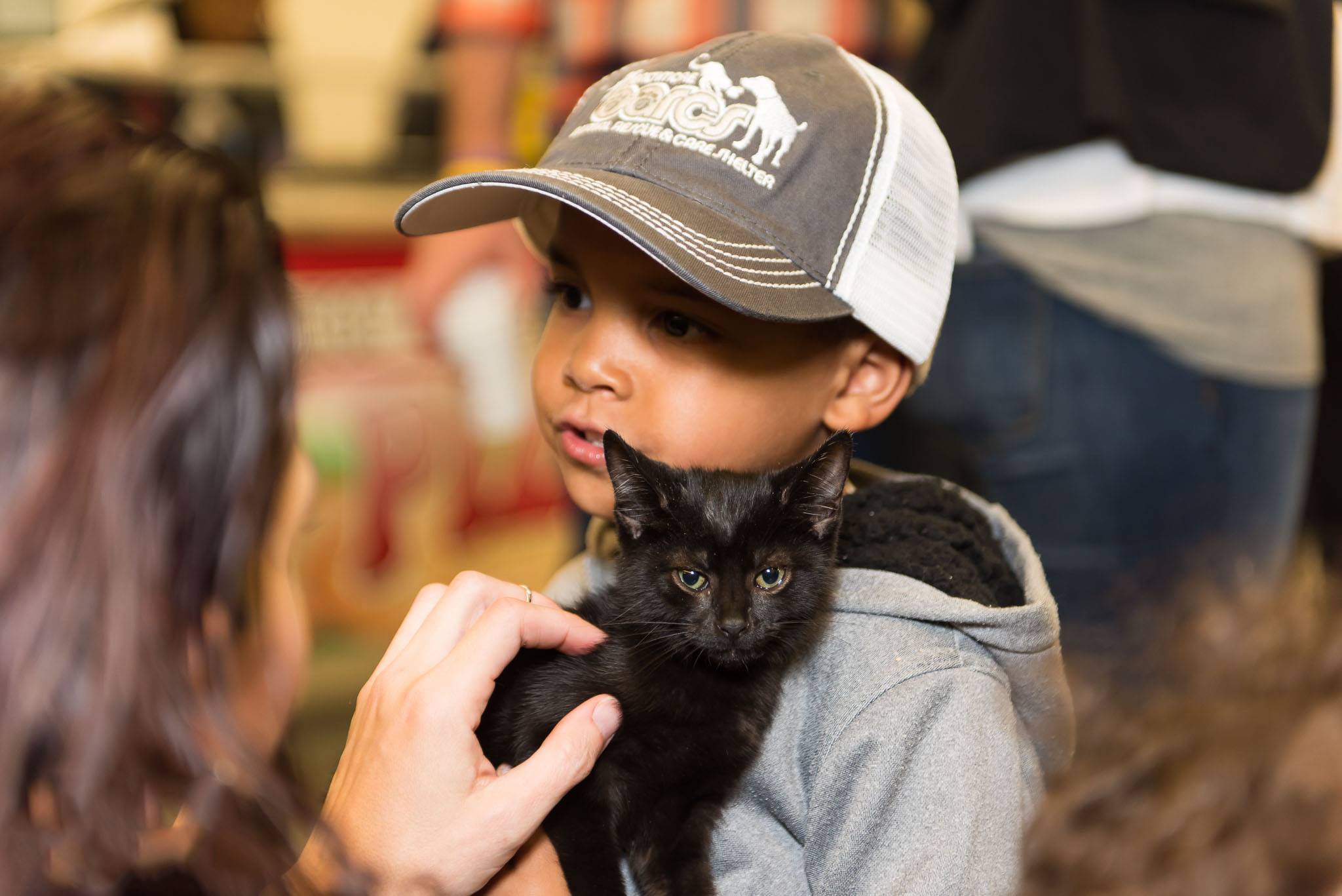 Baltimore Rescue Mission Baltimore KittyCon 2026 | Cat Convention & Adoption Event | BARCS ...