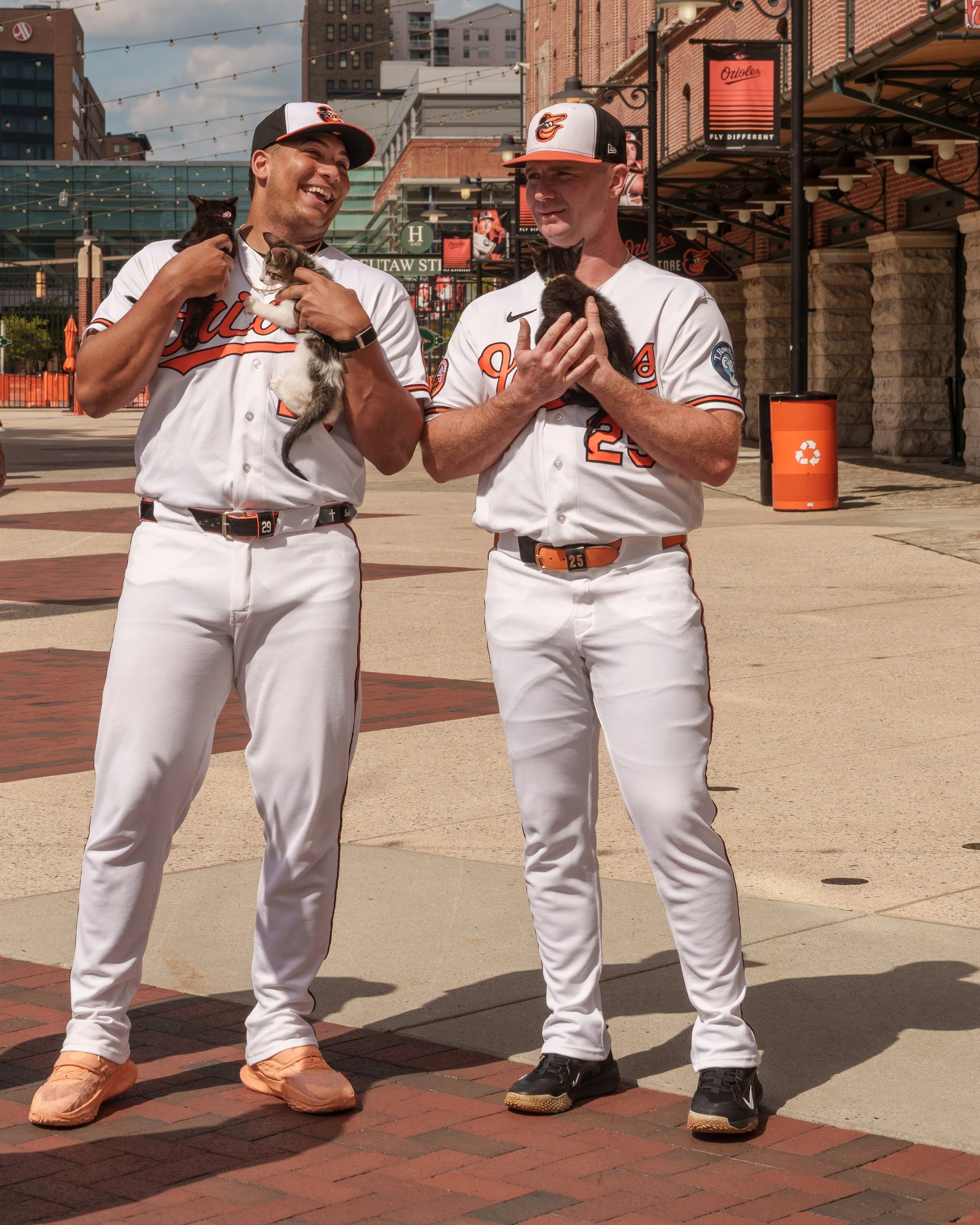 BARCS - Orioles_DSC1313-2.jpg
