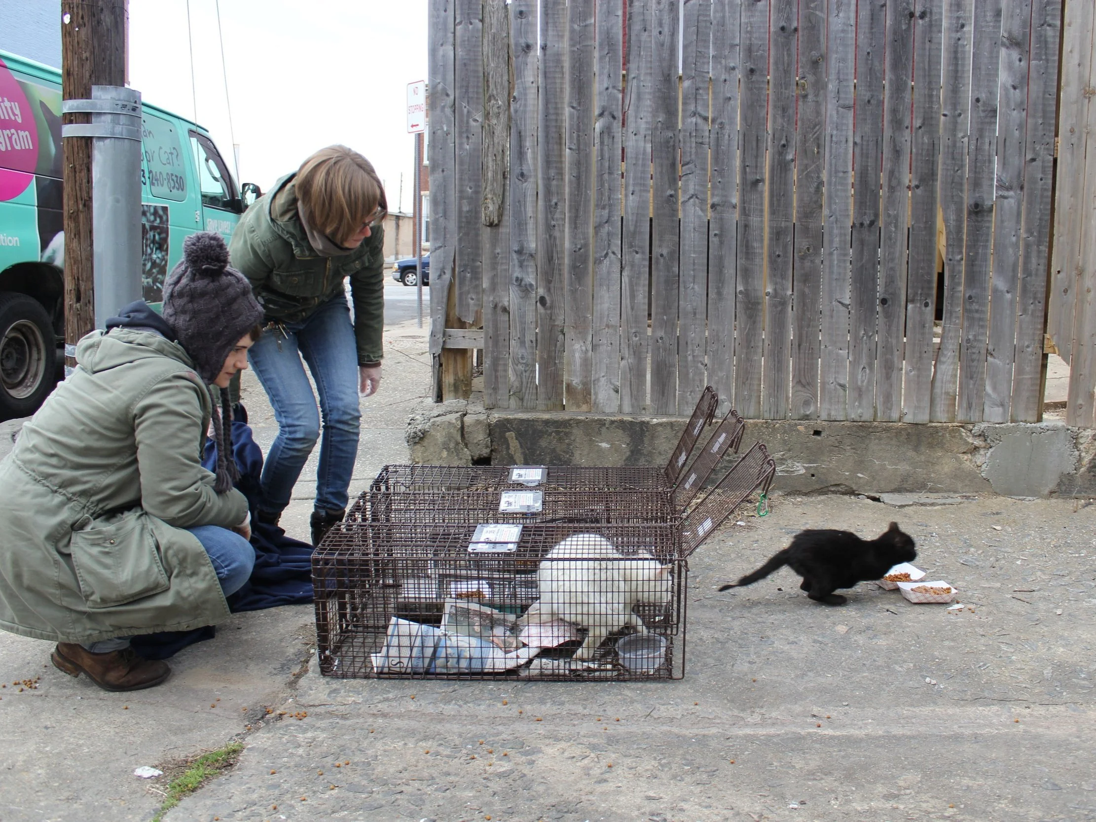 Outdoor Cats Program — Baltimore Animal Rescue and Care Shelter (BARCS)