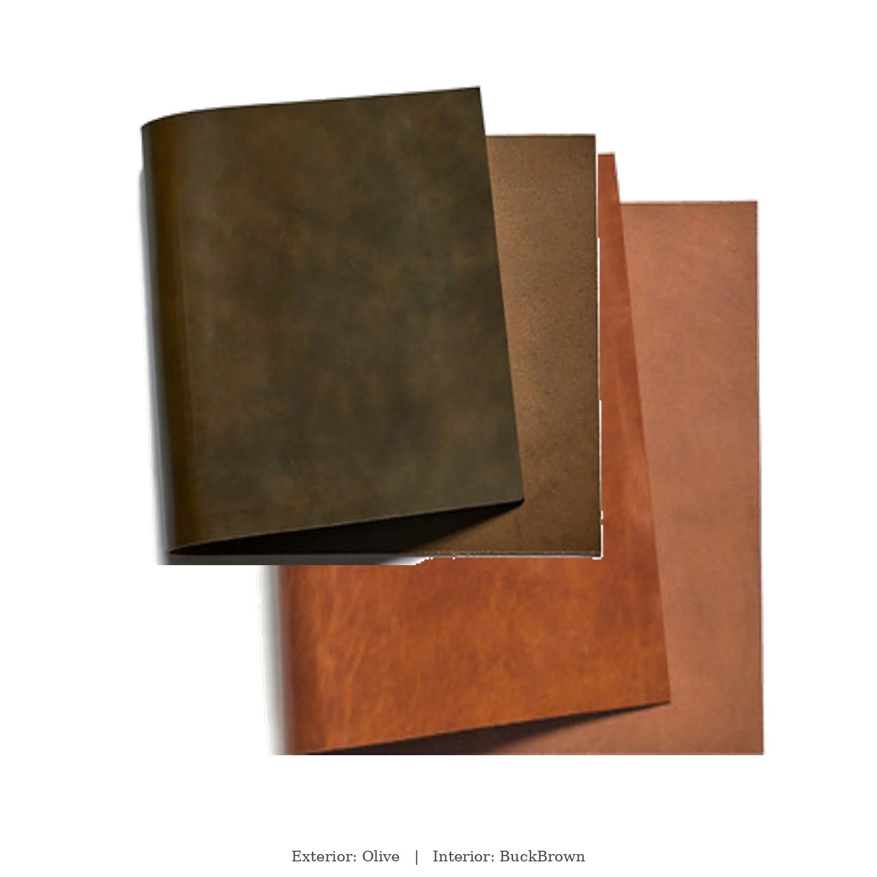 Olive__BuckBrown.jpg