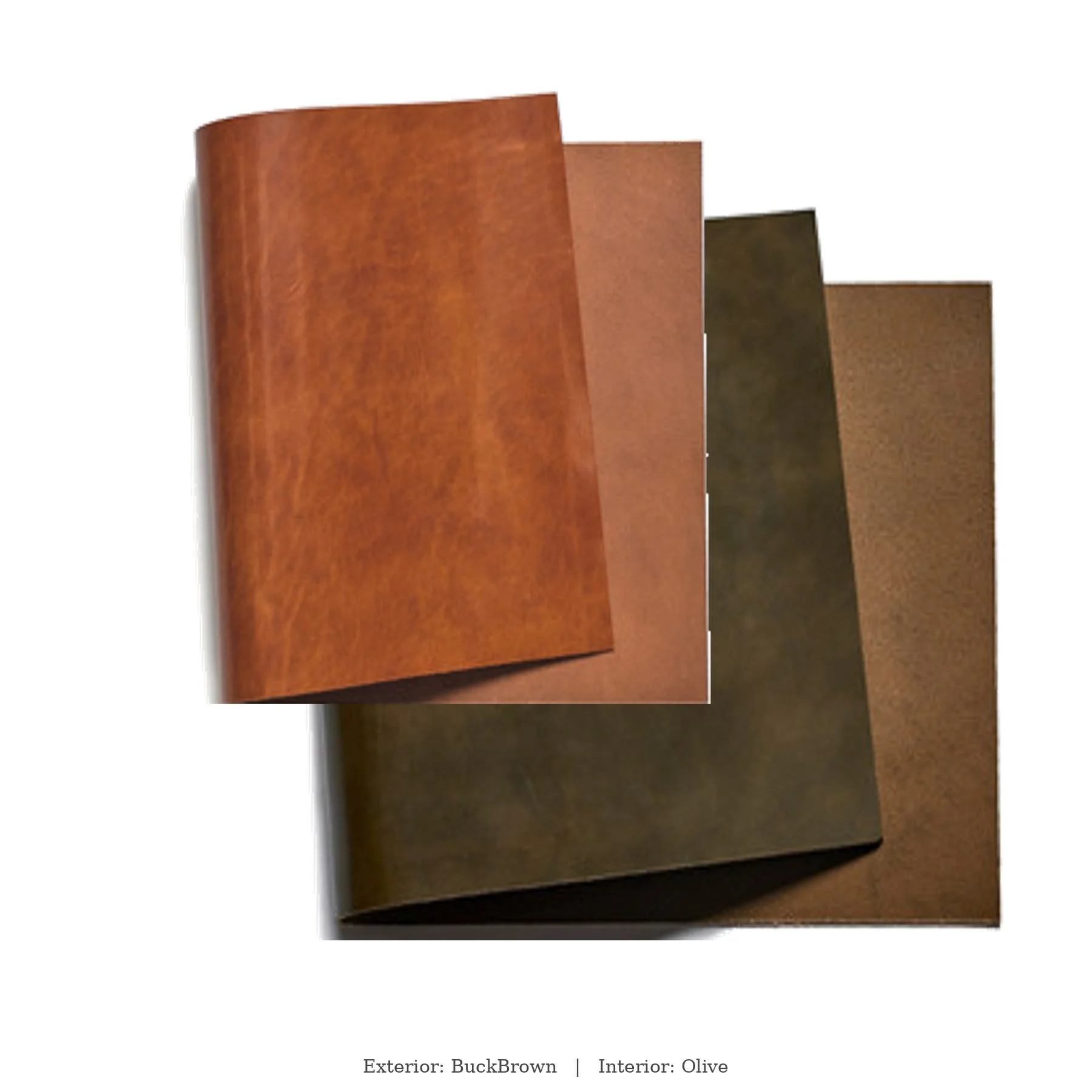 BuckBrown__Olive.jpg