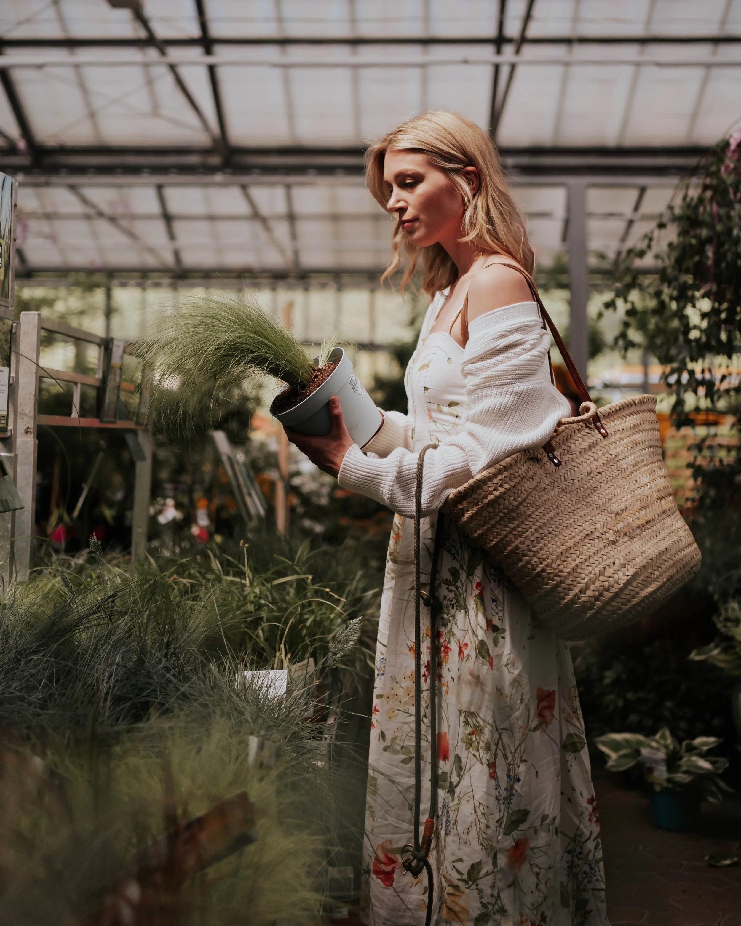 5 Tipps für den Einkauf im Gartencenter