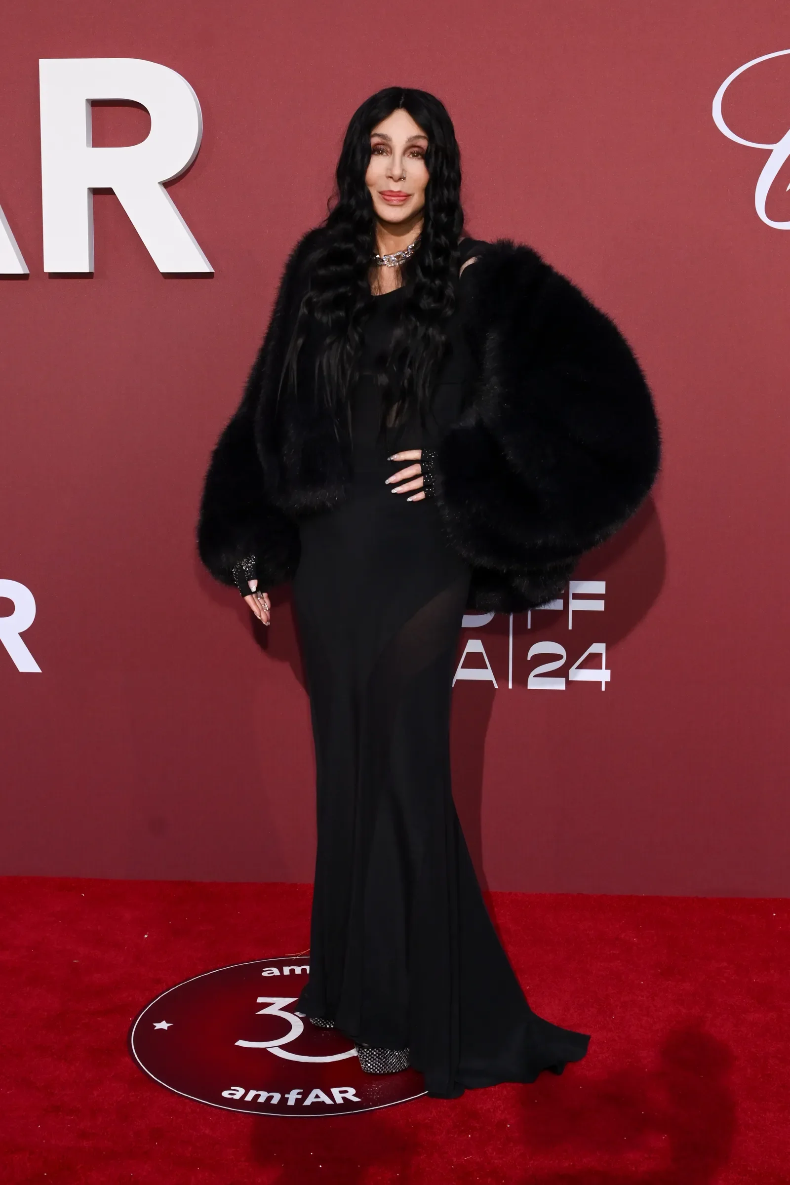 CHER - AMFAR GALA 2024 - RED CARPET. STYLIST - PATTI WILSON, STYLIST ASST. - ELIJAH H.