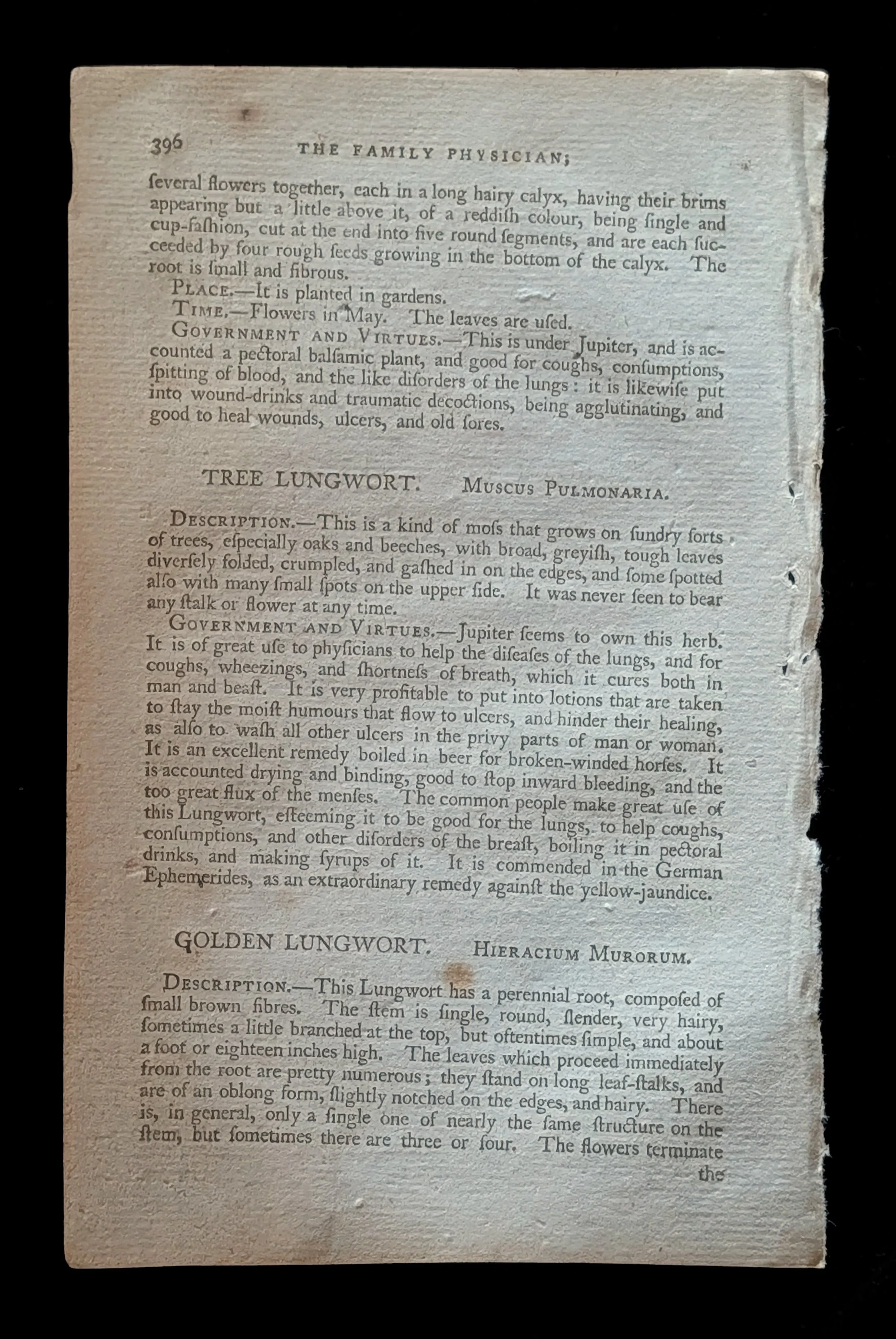 58_TEXT_pp395-396_b.jpg