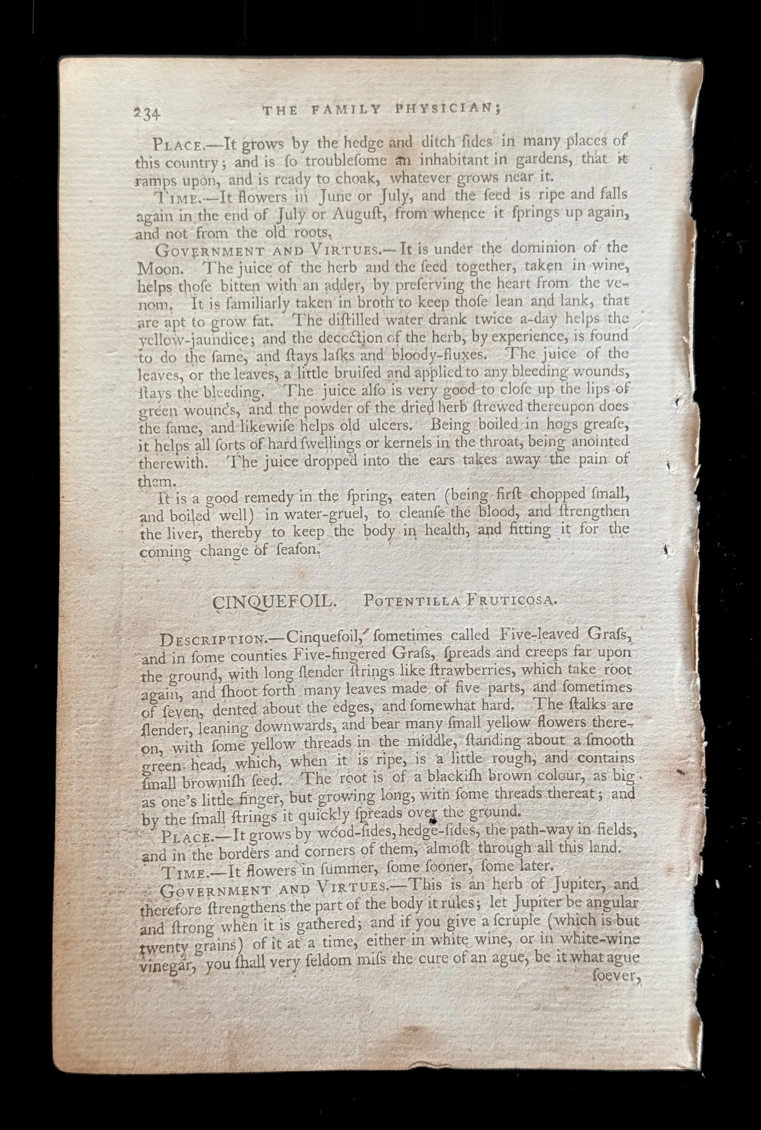 23_PAIR_ShrubCinquefoil_text_p234.jpg