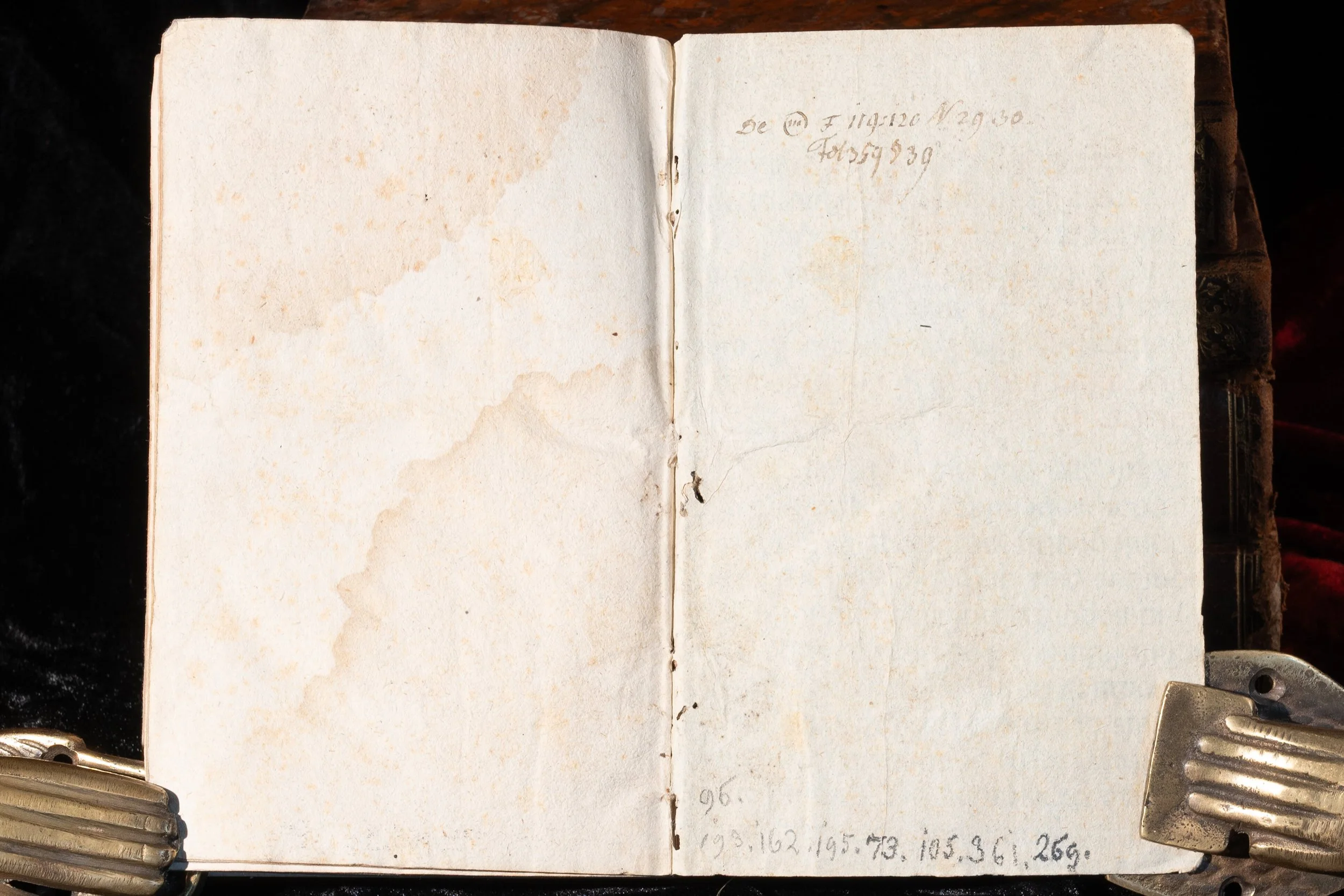 1730 Boheme Rerum Stiff (2).jpg
