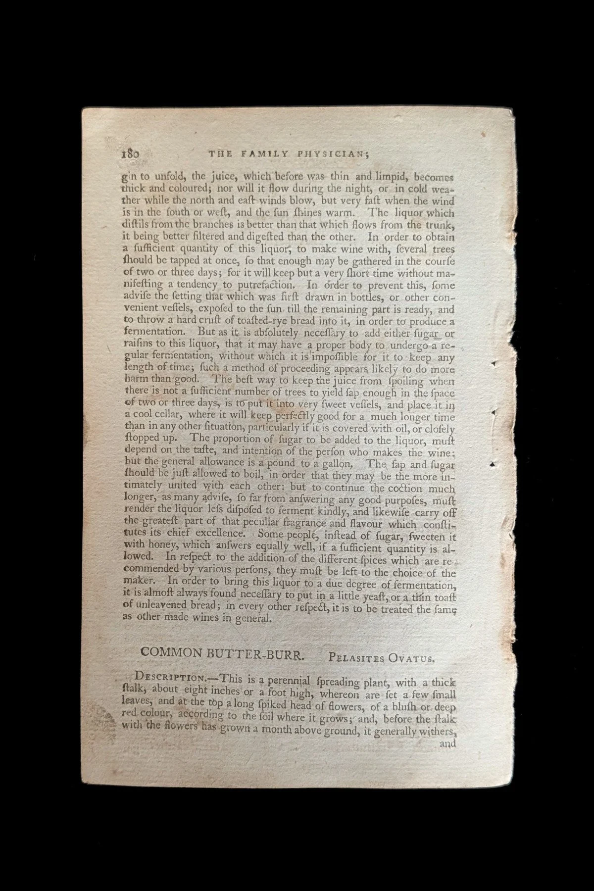 C1792_P16_Butterburs_text_p180.jpg