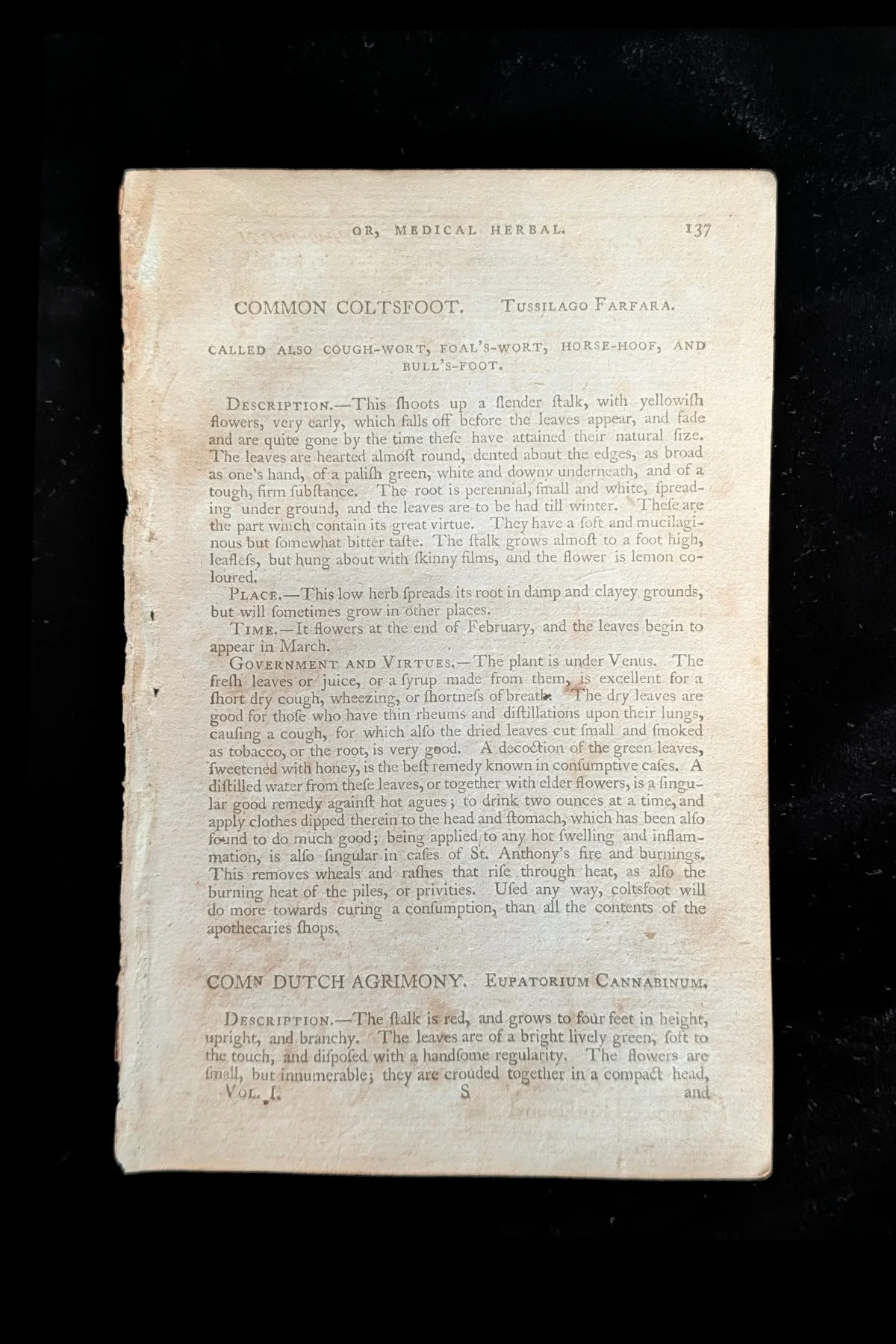 C1792_P04_ColtsfootDroopingHempAgrimony_text_p137.jpg